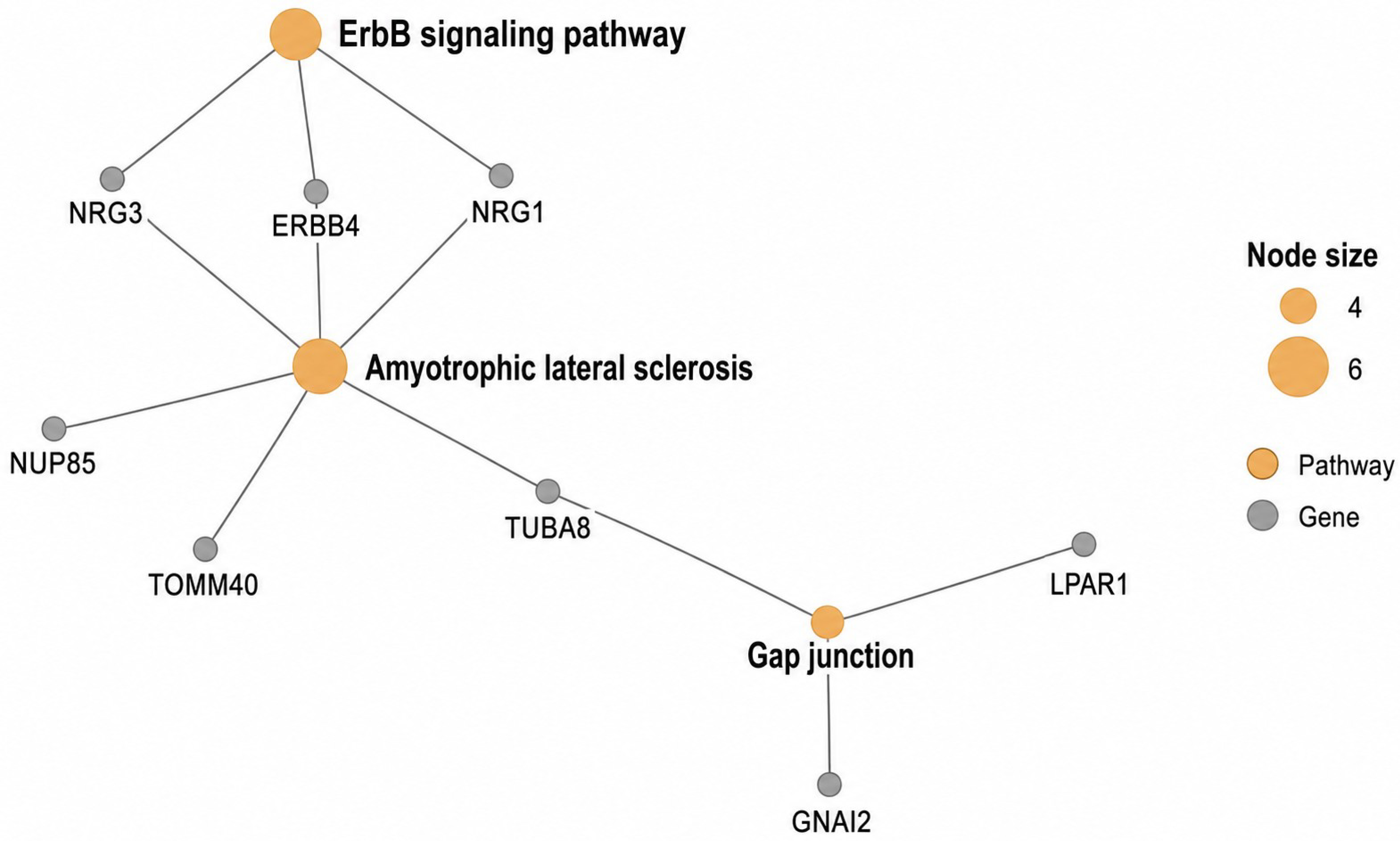 Endophenotypes Family-Based GWAS of Cognitive Endophenotypes Reveals Genetic ...