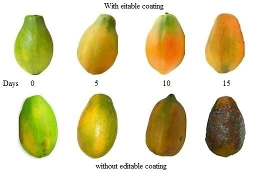 Full article: Selection of optimal ripening stage of papaya fruit (Carica  papaya L.) and vacuum frying conditions for chips making