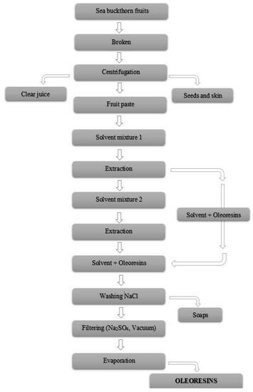 Coatings | Free Full-Text | Design and Development of Oleoresins Rich ...