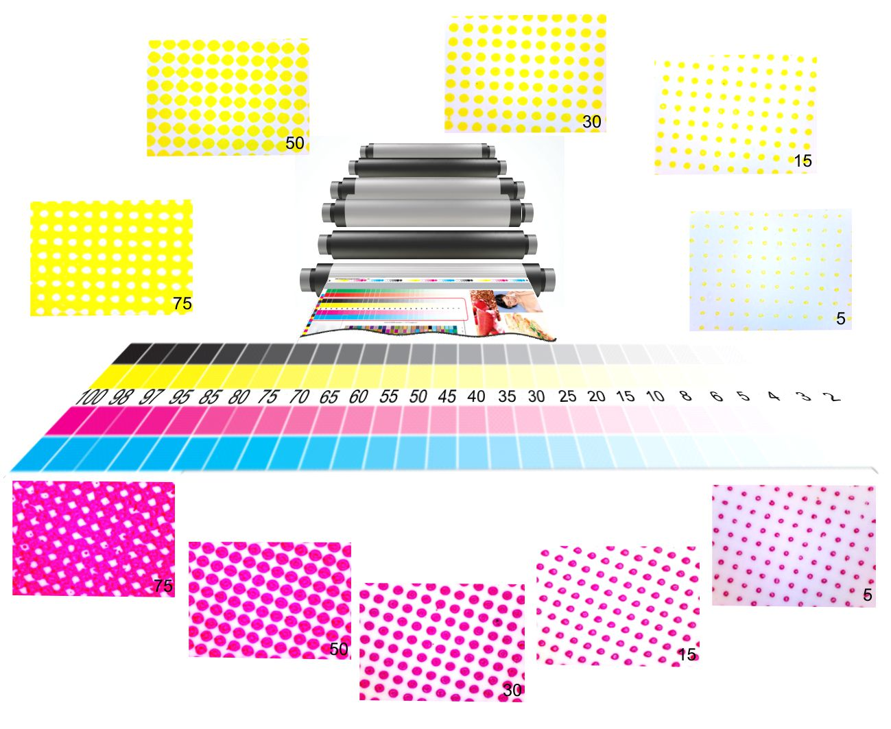 Coated, Uncoated & Under Base Effects When Screen Printing