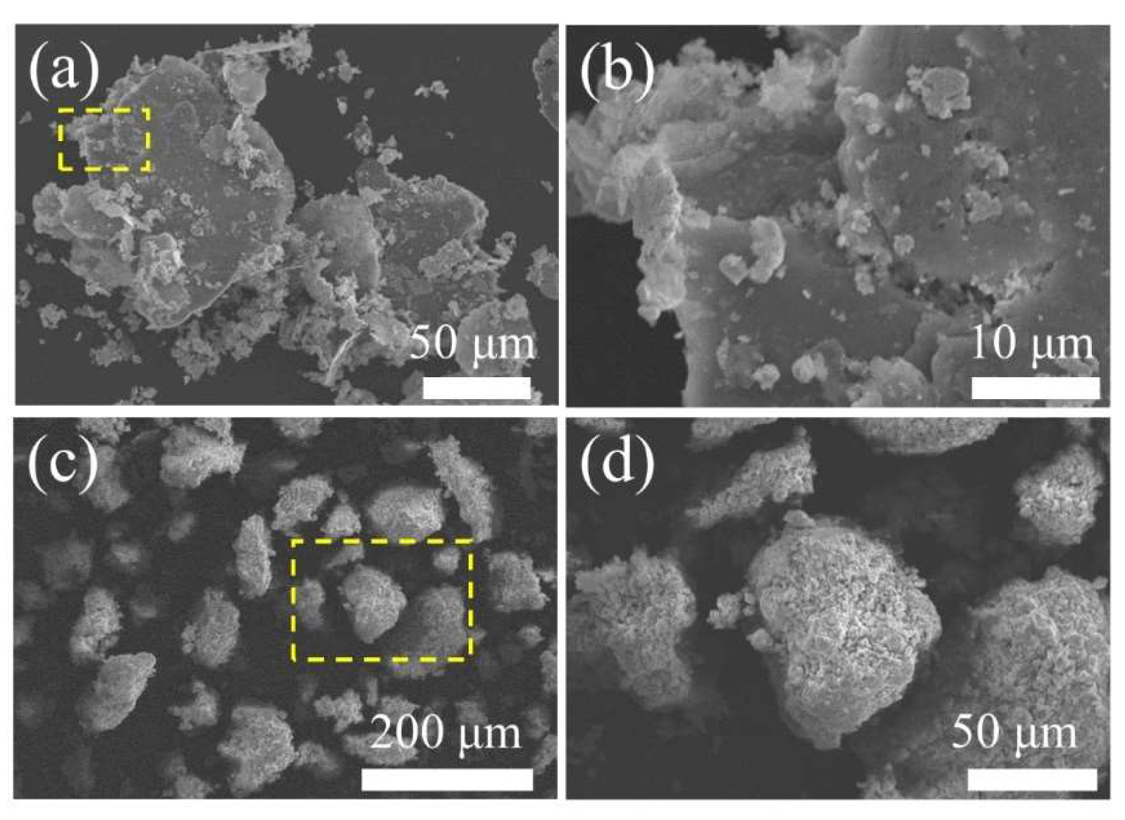 Coatings | Free Full-Text | Microstructure and Wear Behaviors of 