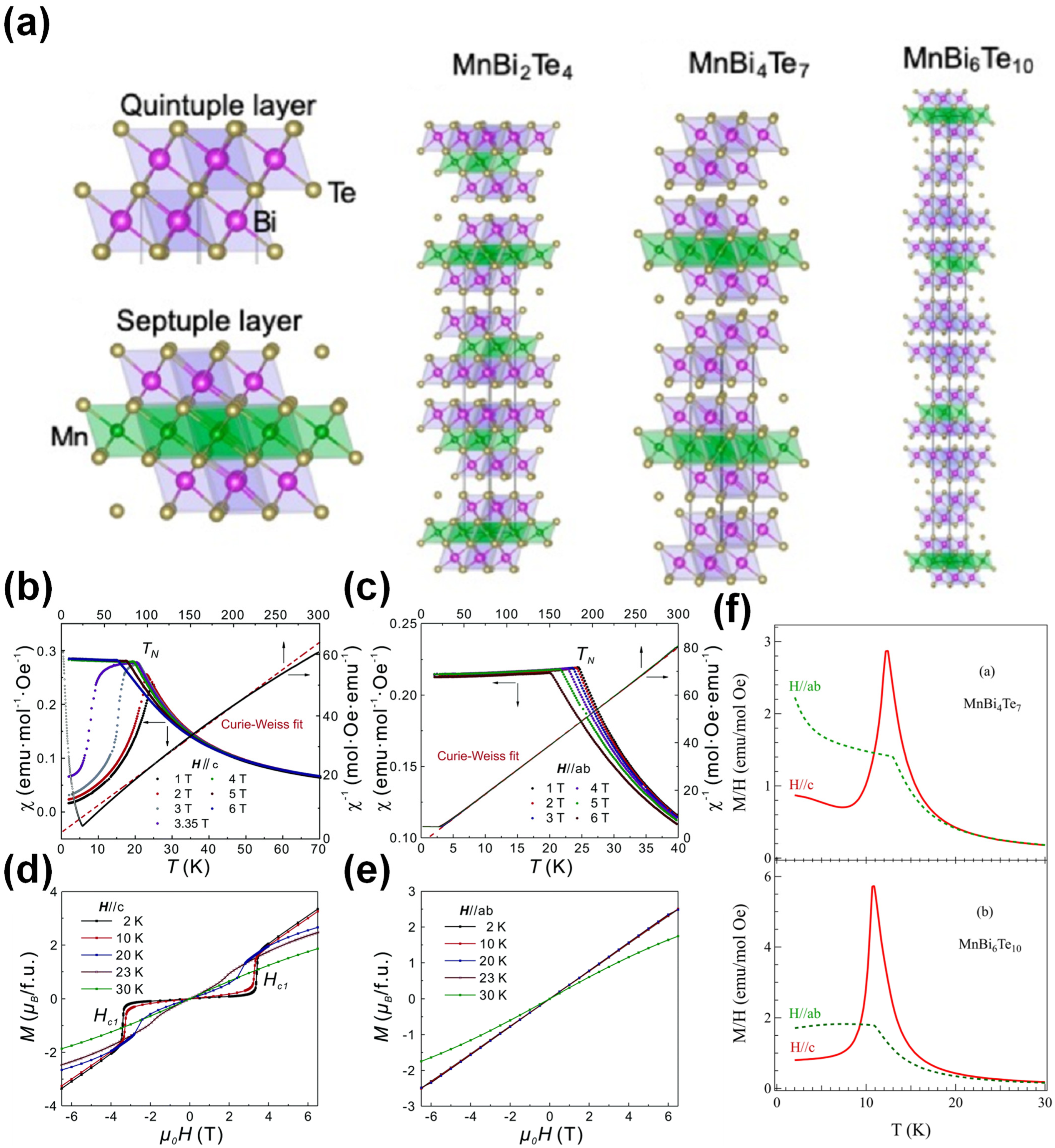Machine Learning Study of the Magnetic Ordering in 2D Materials