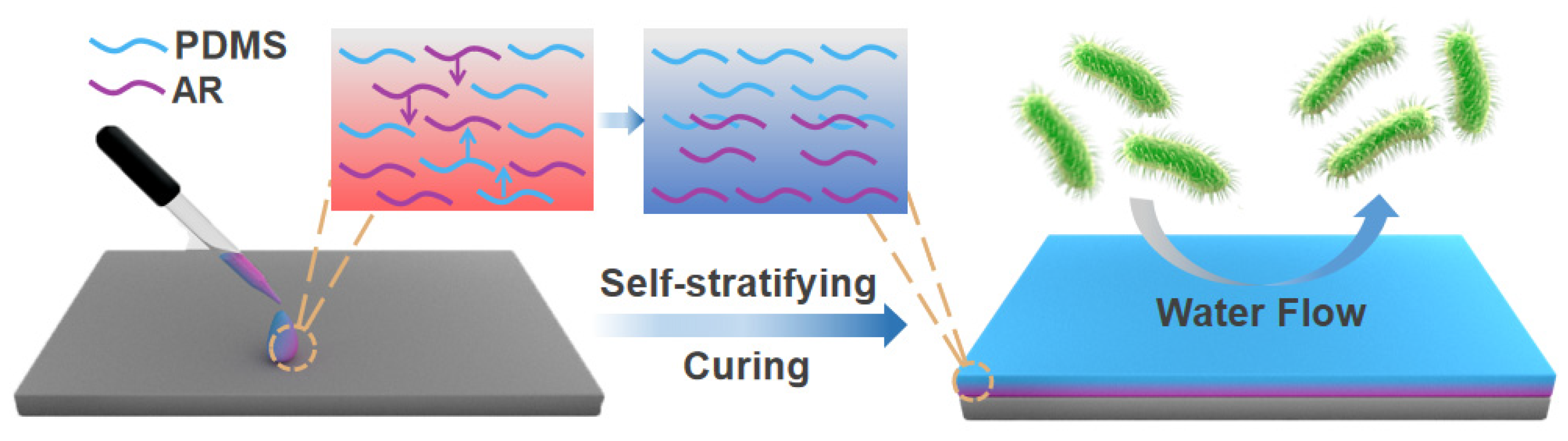Silicone-Based Fouling-Release Coatings for Marine Antifouling