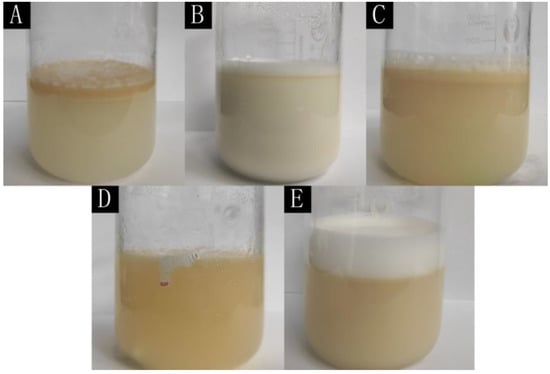 Coatings | Free Full-Text | Tung Oil Microcapsules Prepared with ...