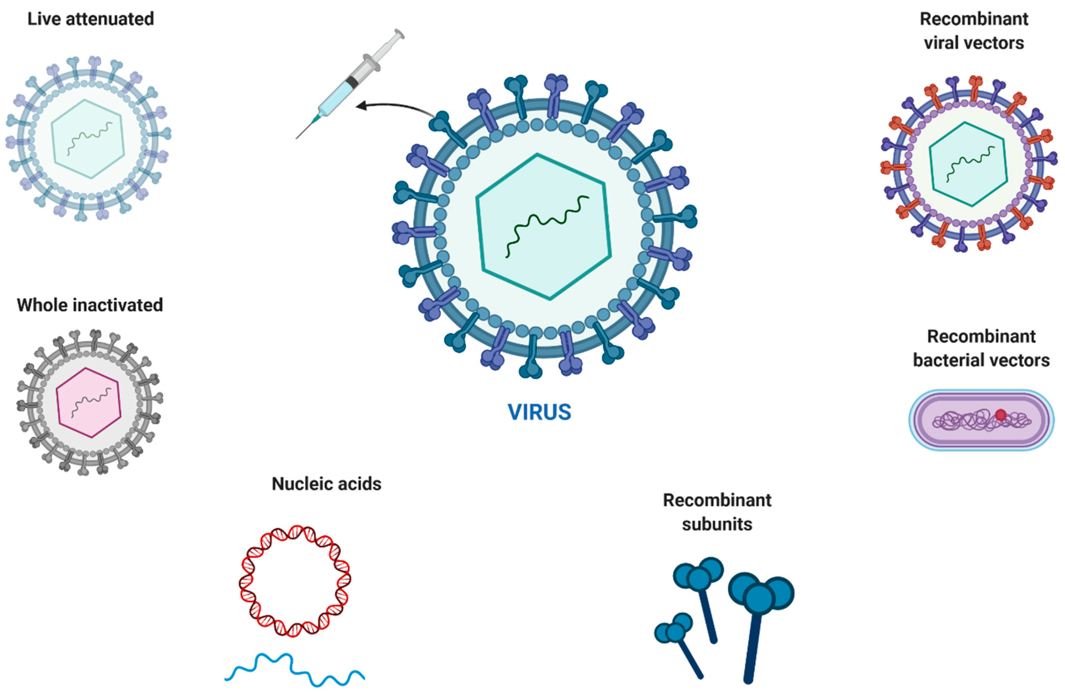 Coatings | Free Full-Text | Nanomaterials as Emerging Therapeutics for ...