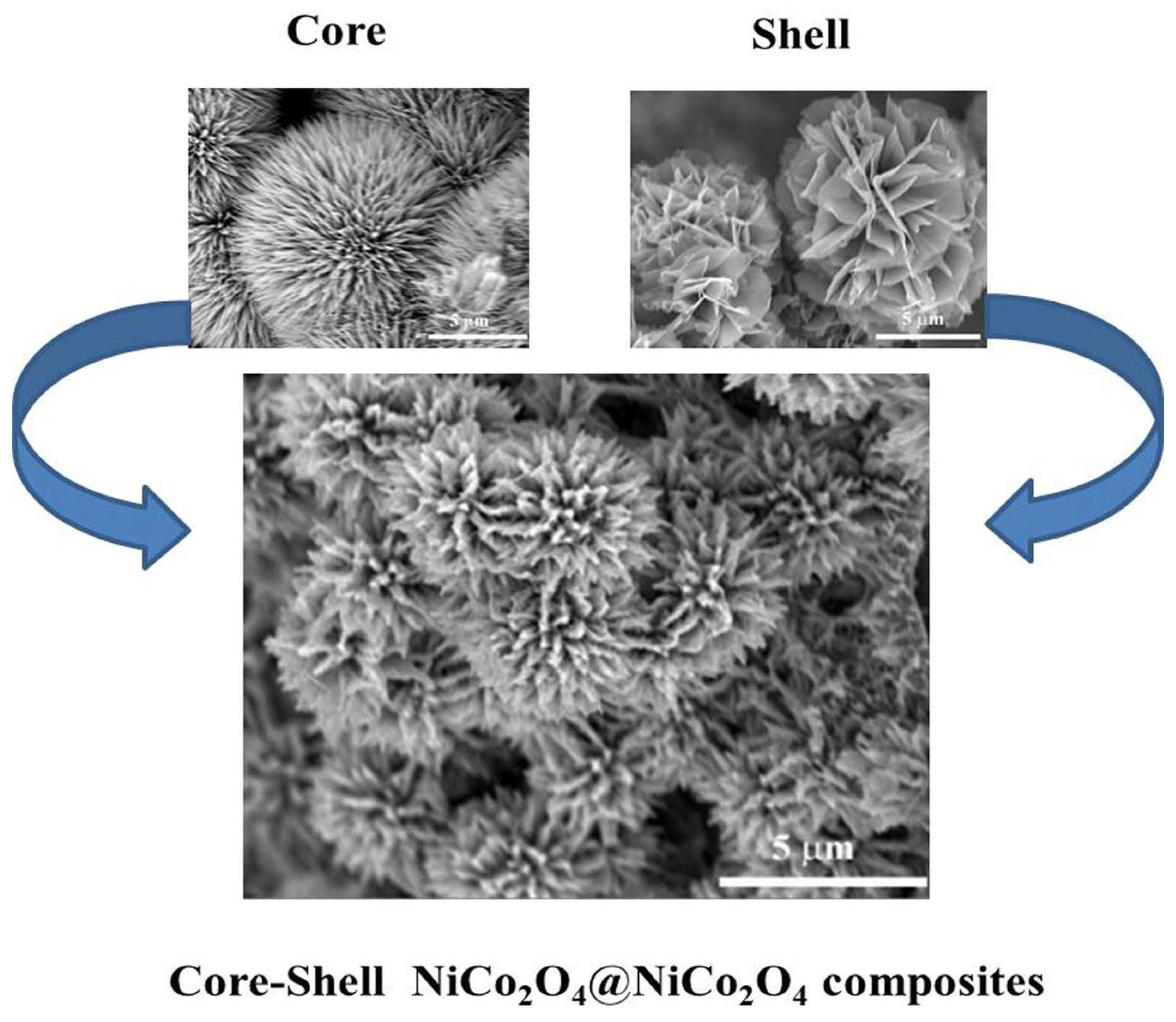 Coatings | Free Full-Text | Hydrothermal Synthesis of NiCo2O4 