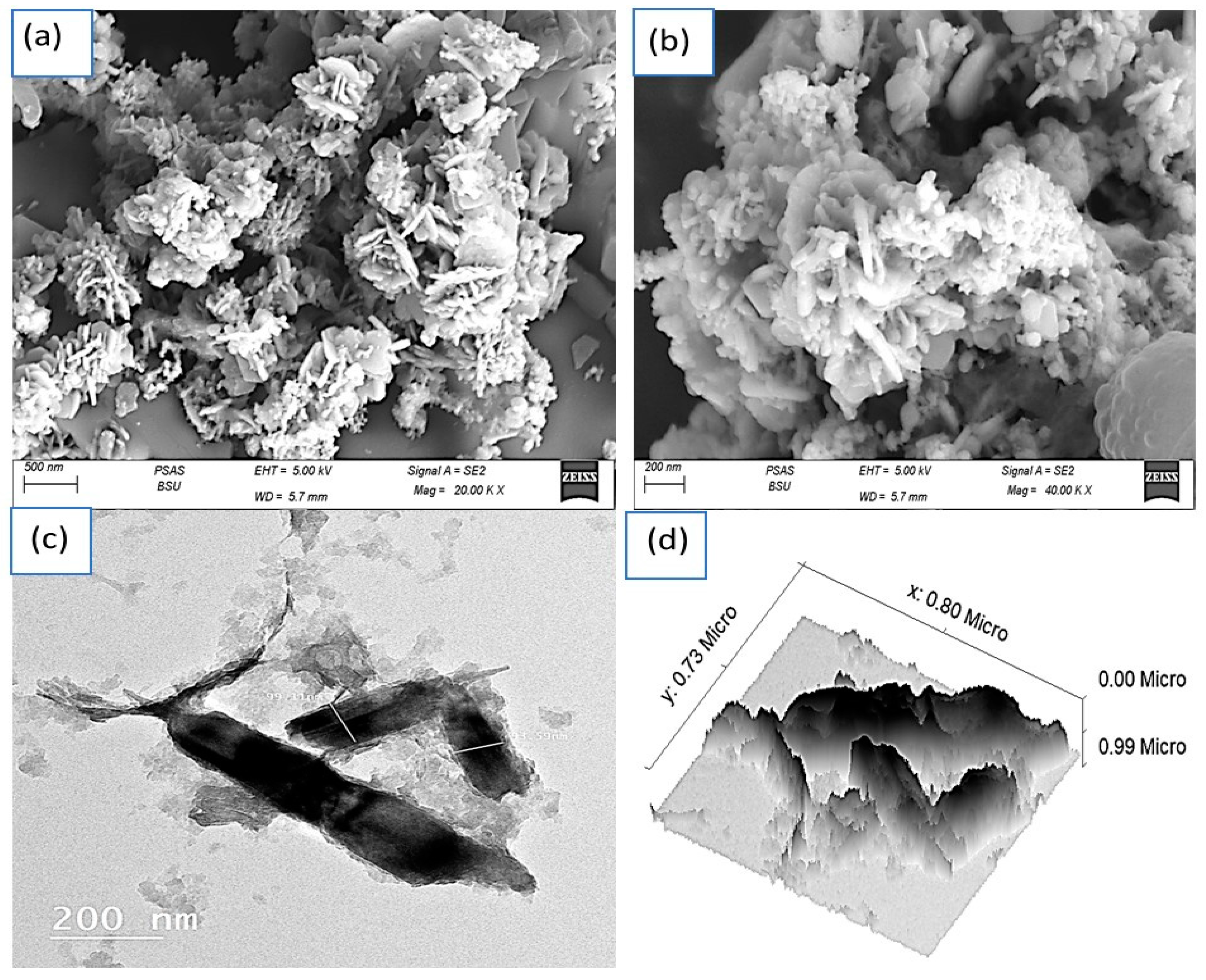 A Fractal, Flower Petal-like CuS-CuO/G-C3N4 Nanocomposite