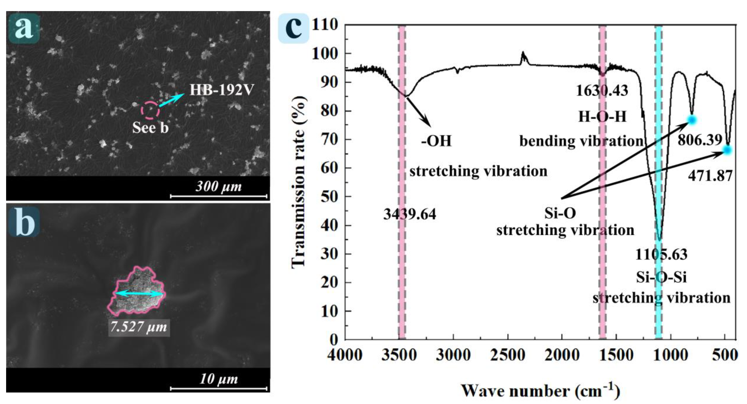 Coatings | Free Full-Text | The Preparation Of A Superhydrophobic ...