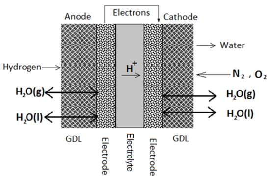 Coatings | Free Full-Text | Design and Analysis of Gas Diffusion Layers ...