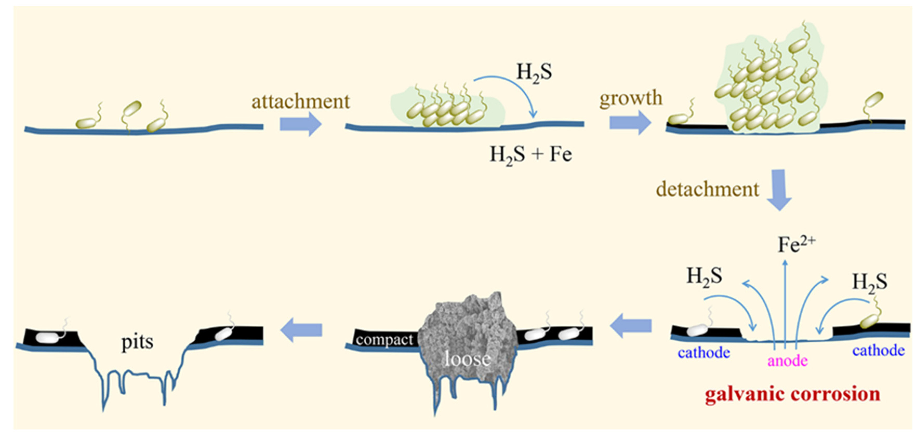 Evolution of the corrosion layer of Q235 steel in simulated fire