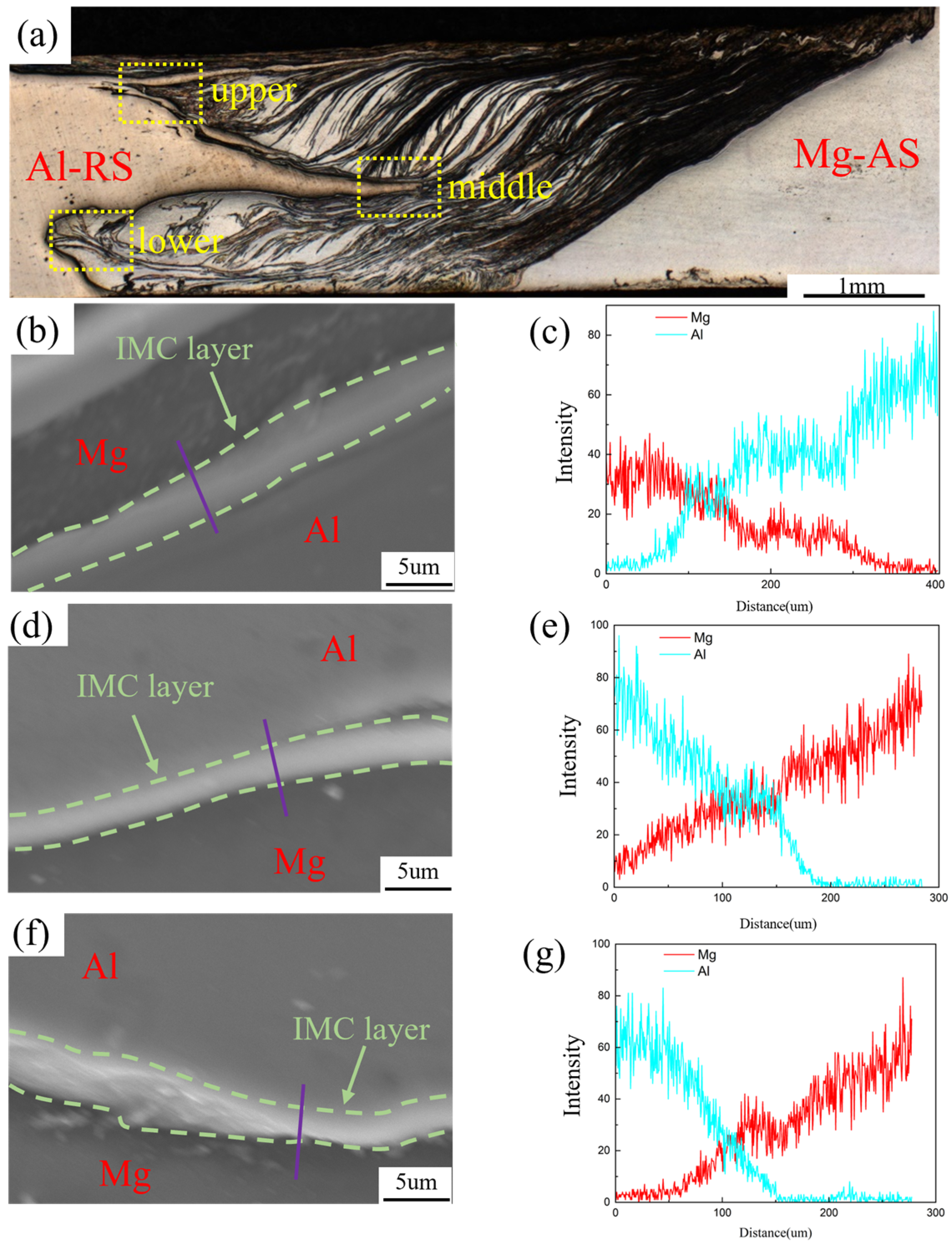 Interlocking Features Interfacial Interlocking Characteristics in Al/Mg Friction Stir Welding ...