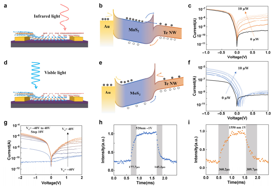 Cascaded Junction-Enabled Polarity-Programmable Dual-Color ...
