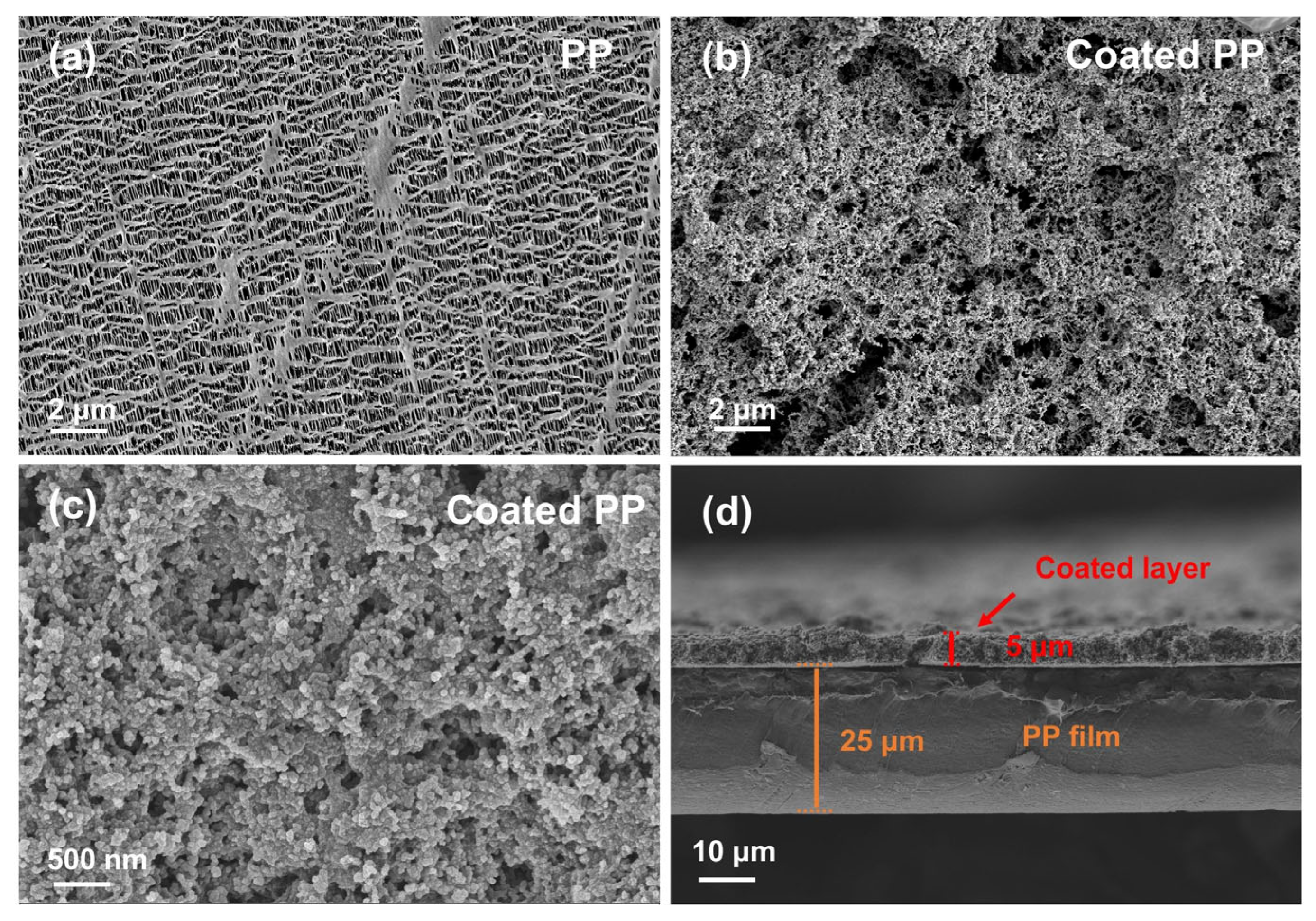 TPU-DMBA@KB-Modified Separator with Multifunctional Anionic Polymer/KB ...