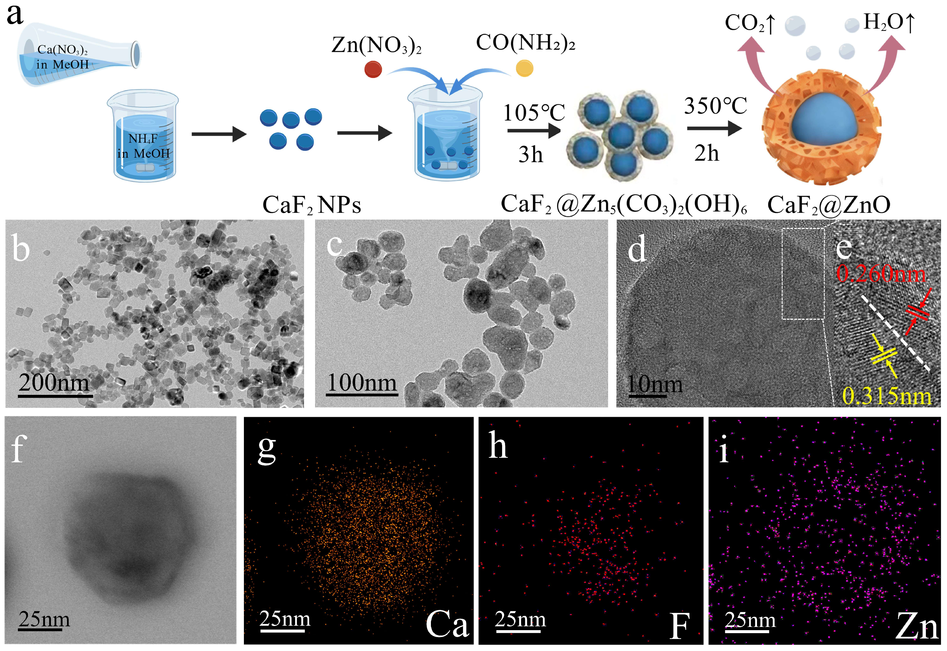 Core–Shell CaF2@ZnO Nanoparticles as Inorganic Fillers for Dental ...