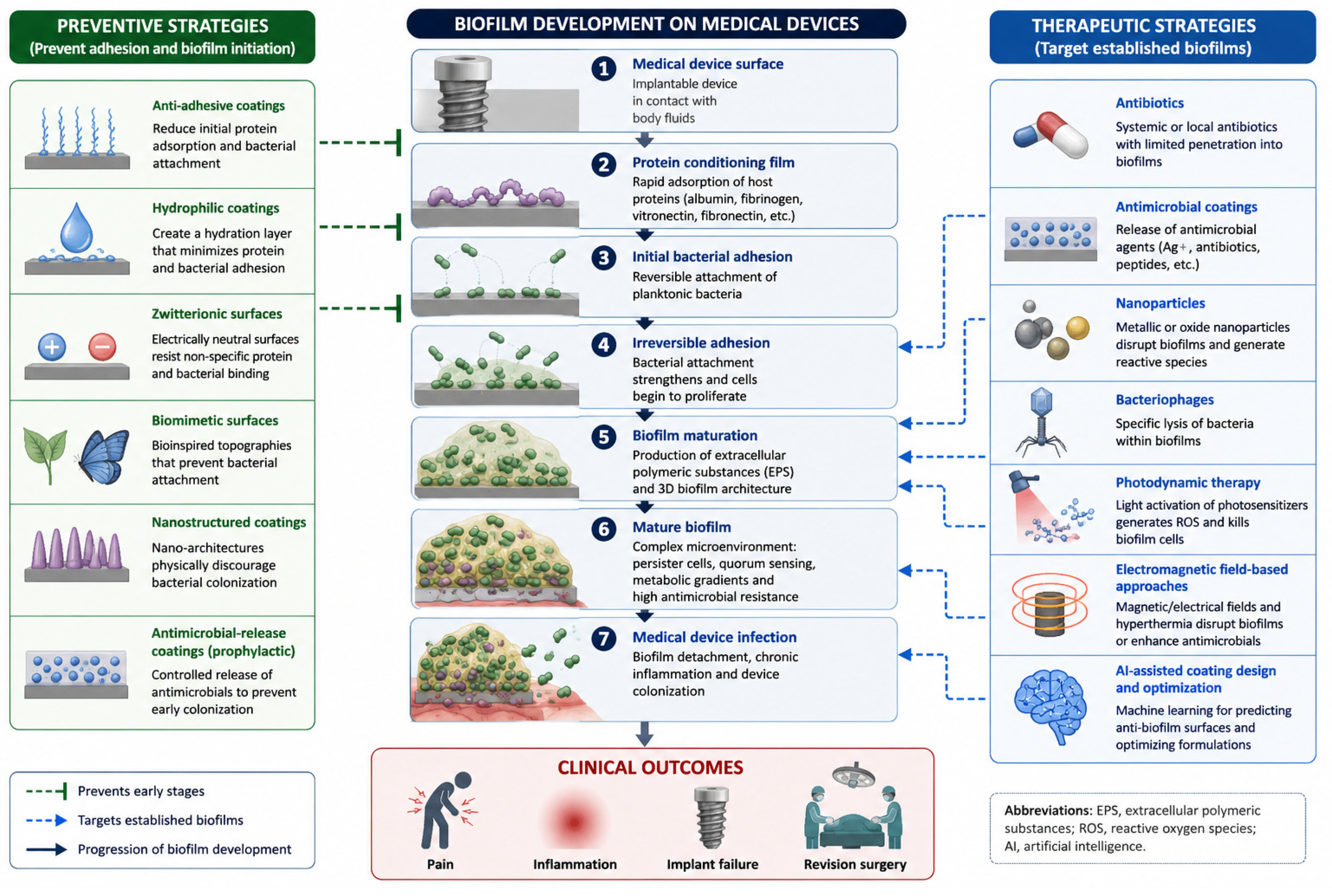 A Review of Biofilms on Medical Devices: Formation, Resistance ...