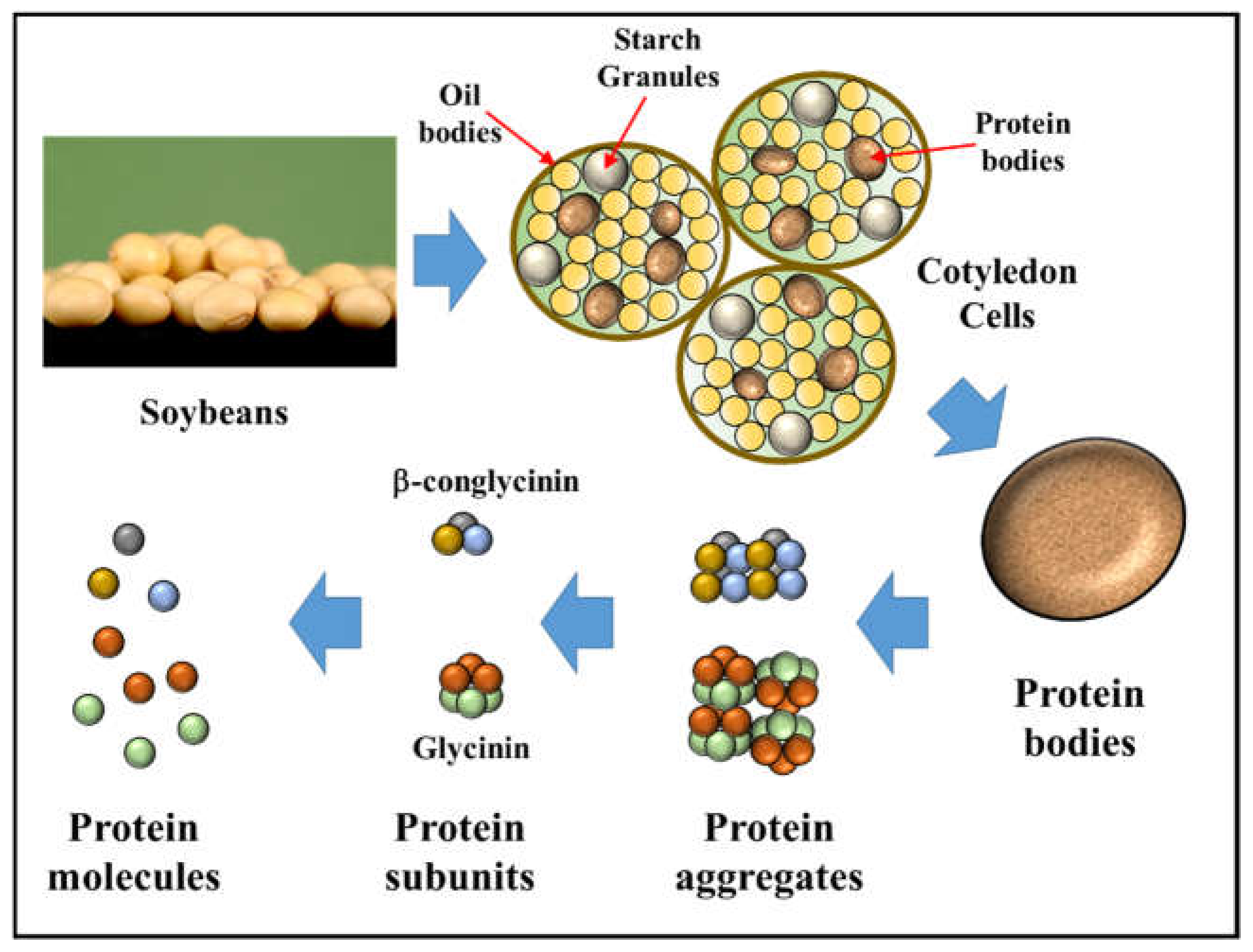 Colloids and Interfaces | Free Full-Text | Proposed Methods for Testing and  Comparing the Emulsifying Properties of Proteins from Animal, Plant, and  Alternative Sources