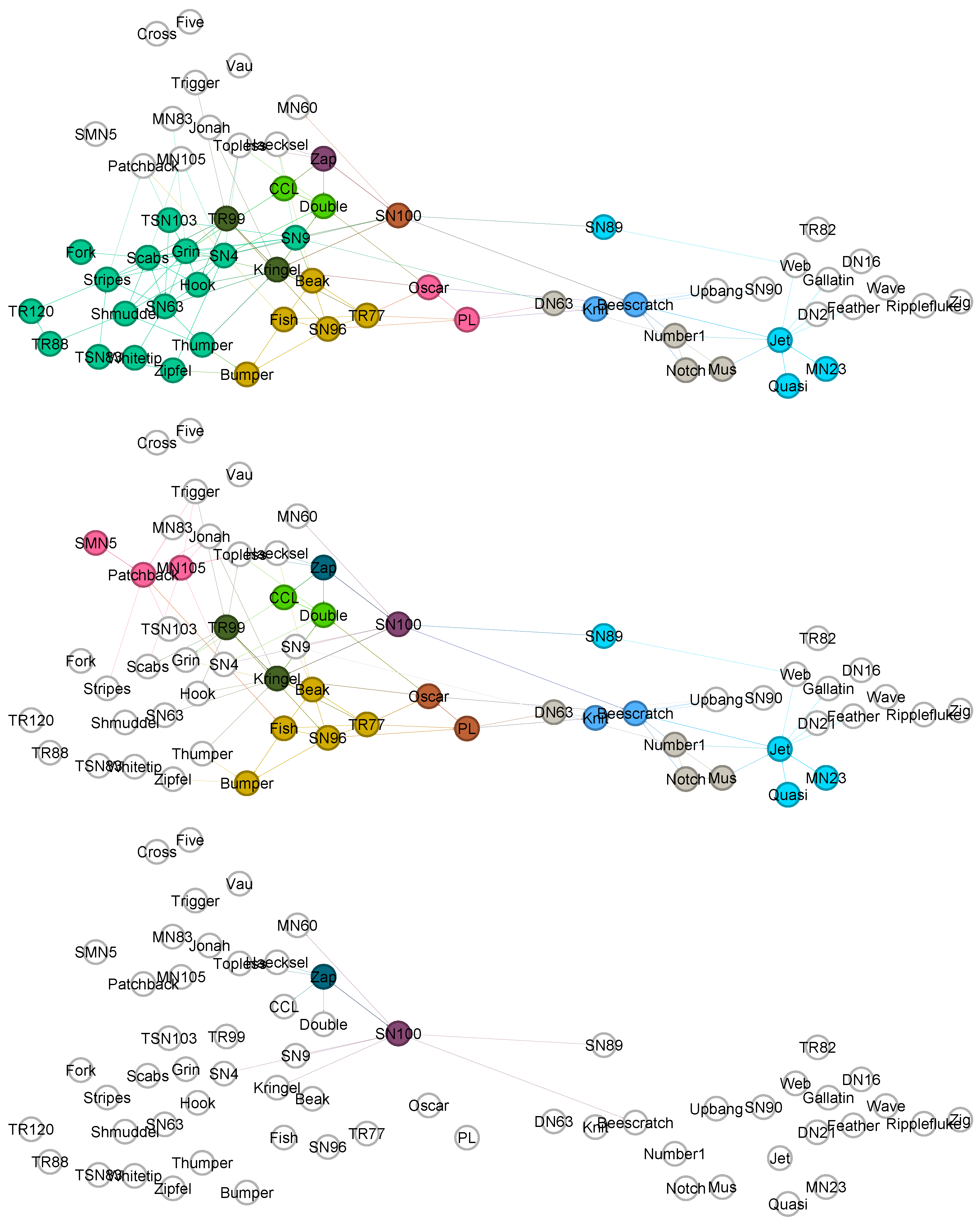 Shared Nodes of Overlapping Communities in Complex Networks