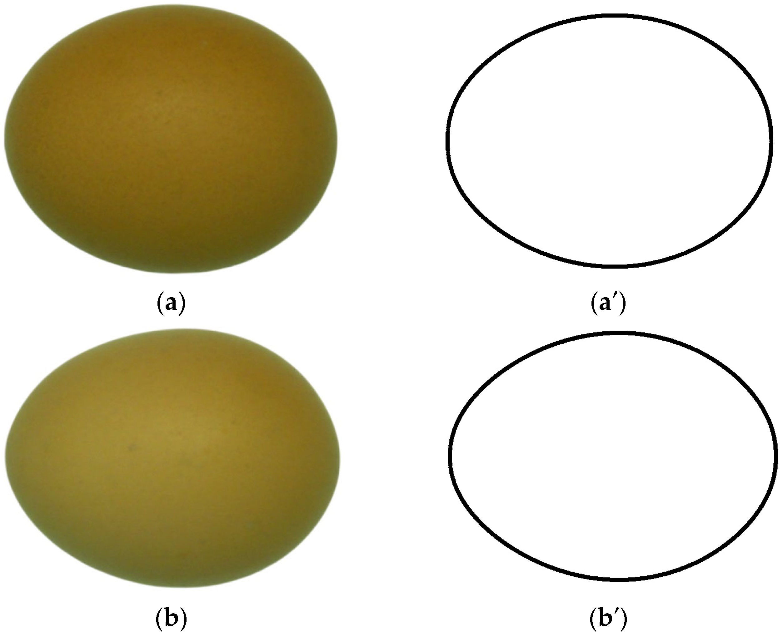 What Is an Oval, Officially and Overall? Old and New Mathematical ...