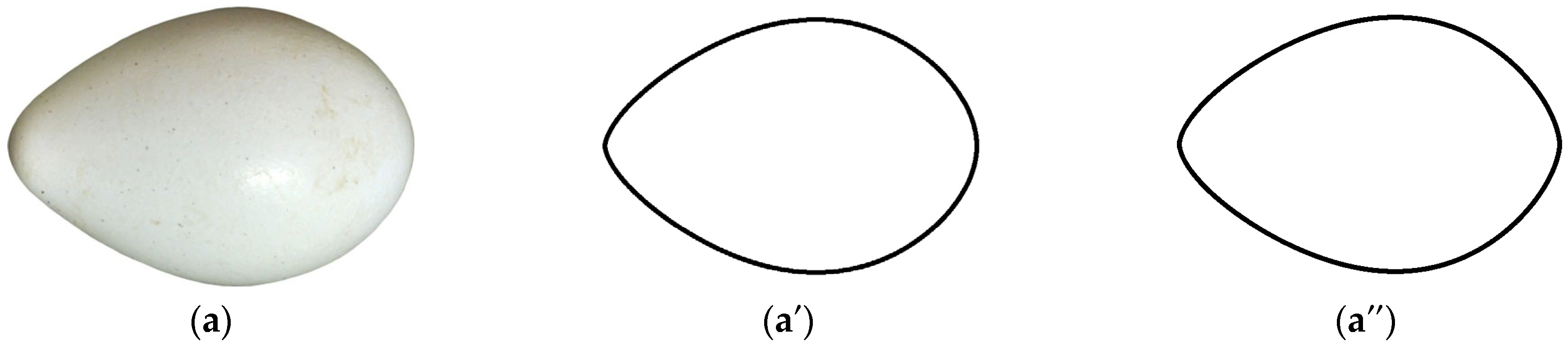 What Is an Oval, Officially and Overall? Old and New Mathematical ...