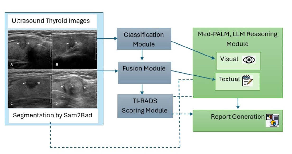 An Explainable Multimodal Deep Learning Framework for Thyroid Nodule ...