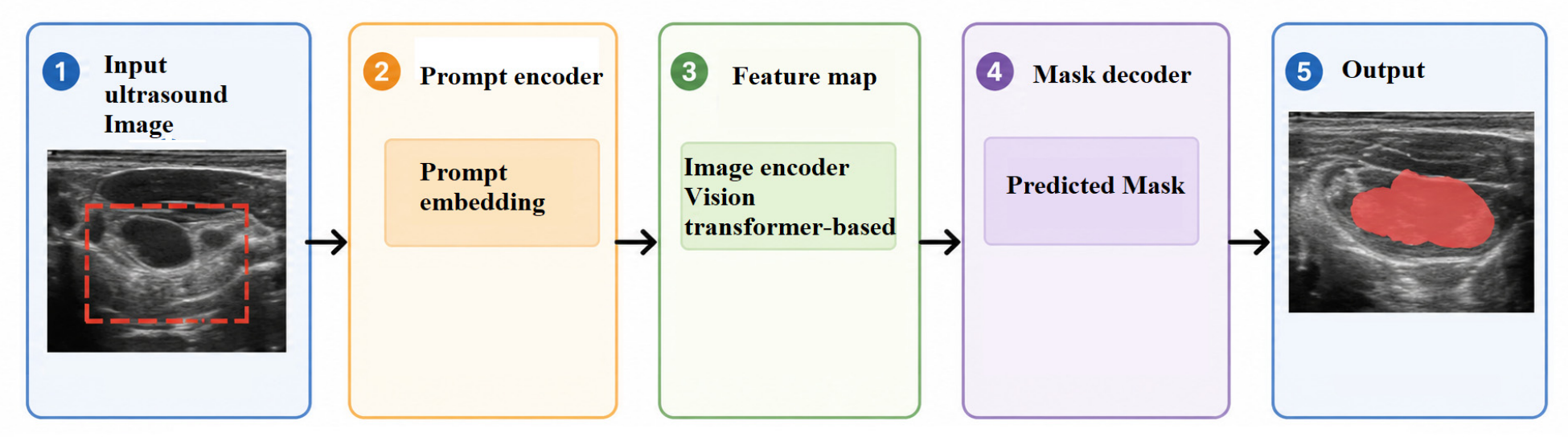An Explainable Multimodal Deep Learning Framework for Thyroid Nodule ...