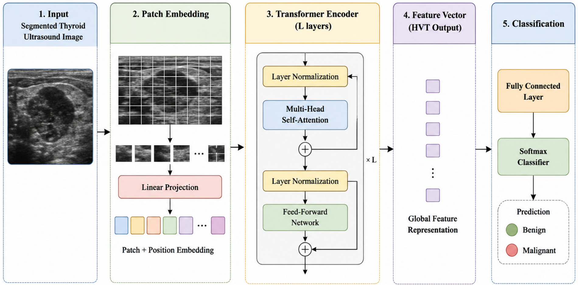 An Explainable Multimodal Deep Learning Framework for Thyroid Nodule ...