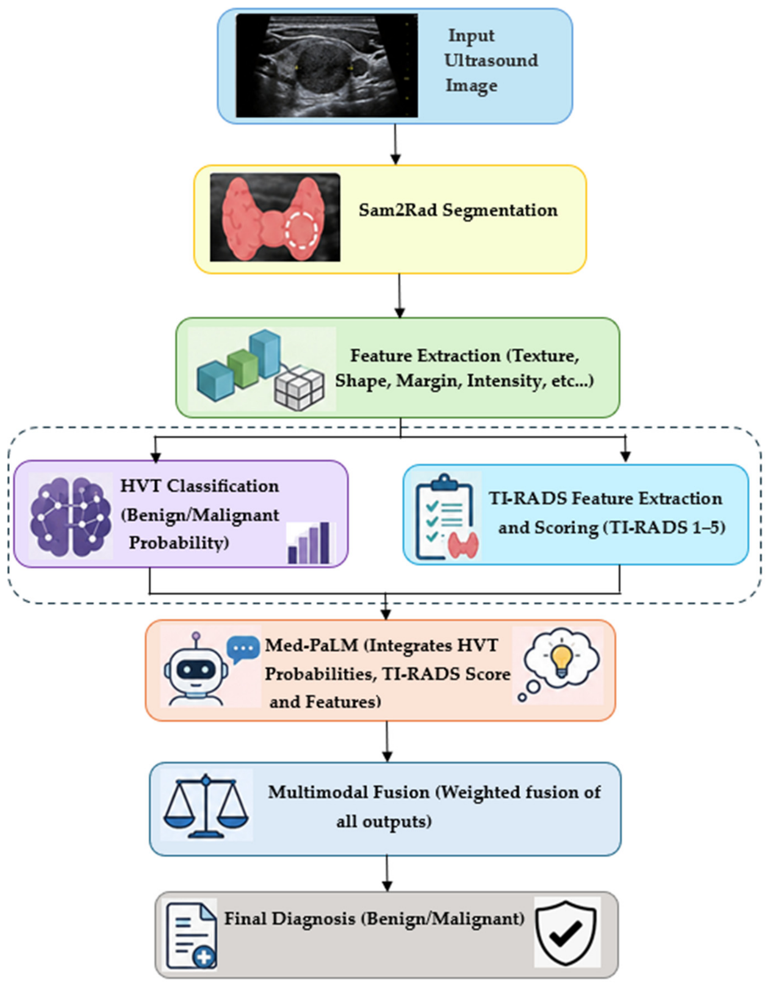 An Explainable Multimodal Deep Learning Framework for Thyroid Nodule ...