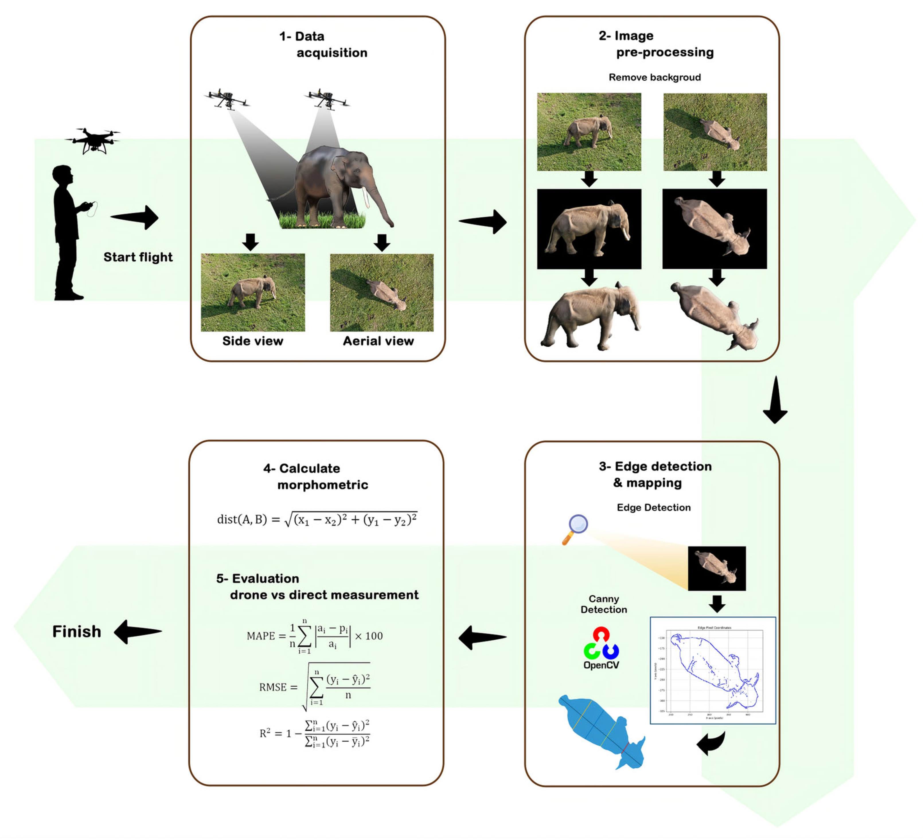 From Above: Drone-Driven Computer Vision for Reliable Elephant Body ...