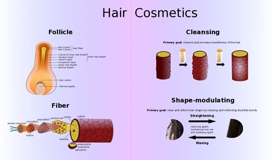 polypeptide chain in hair