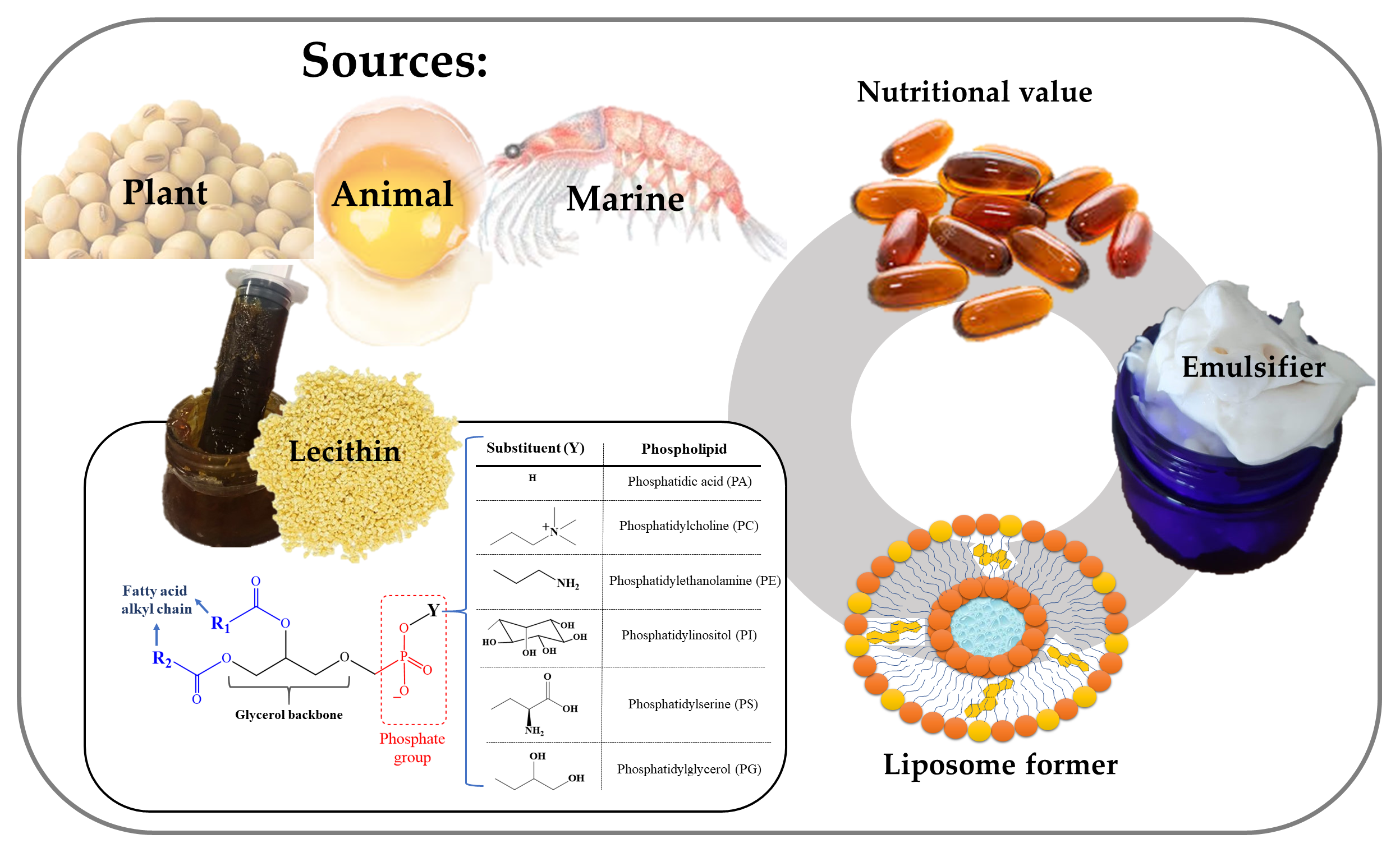 Cosmetics | Free Full-Text | Lecithins from Vegetable, Land, and Marine  Animal Sources and Their Potential Applications for Cosmetic, Food, and  Pharmaceutical Sectors