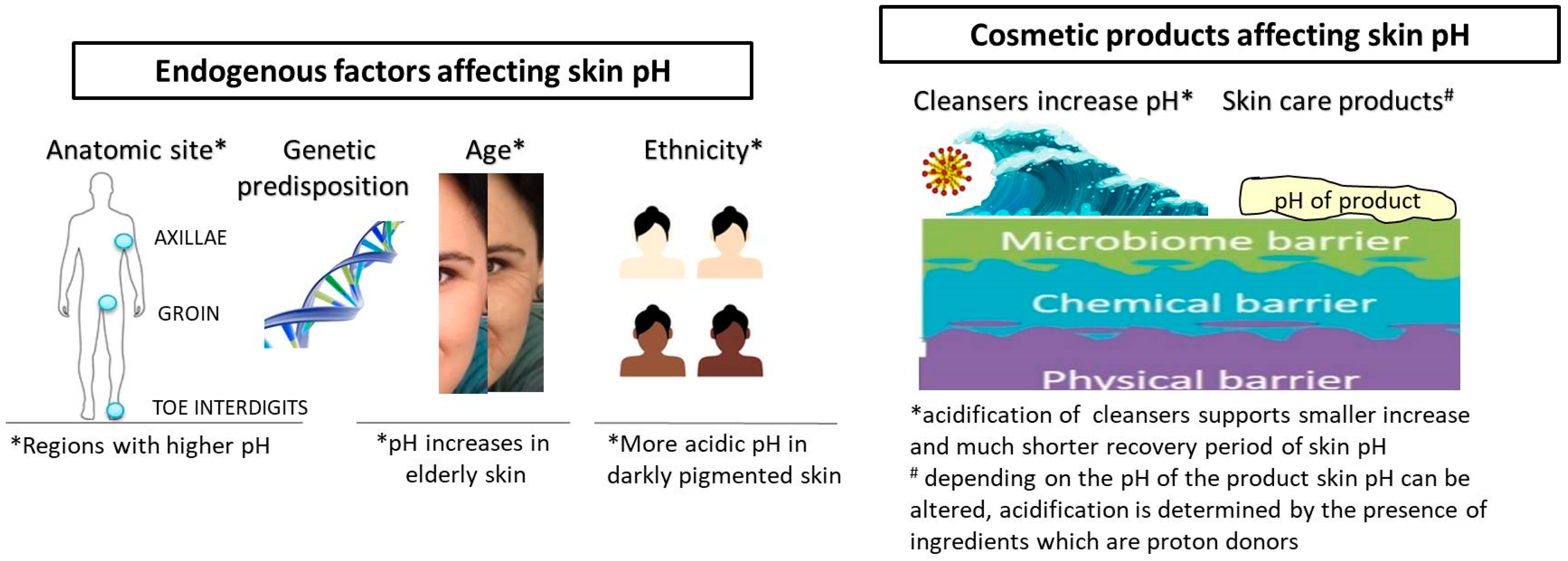 What's so Important About Skin pH?