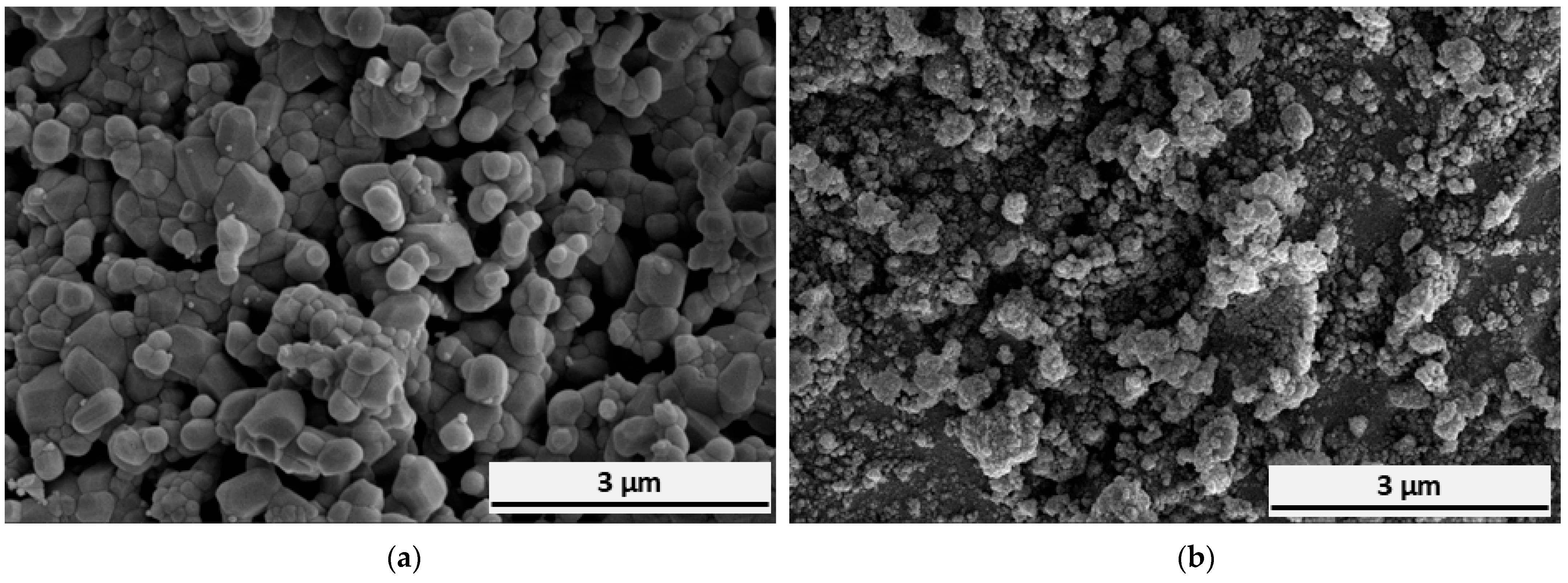 Sunscreen From Fishbones Process Synergistic Effects of Hydroxyapatite Derived from Fish Bone and ...
