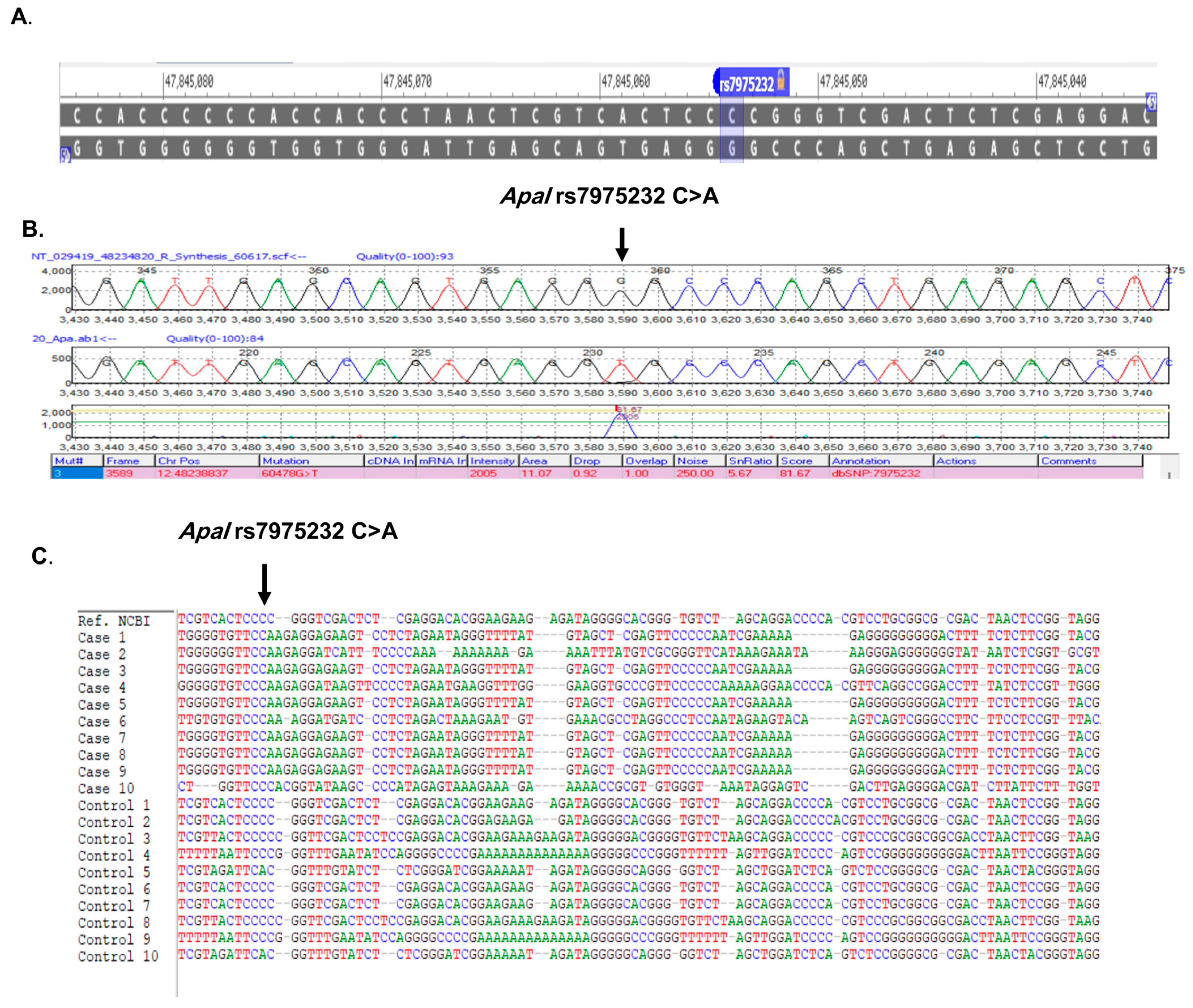 Association of Vitamin D Receptor (VDR) Gene Polymorphisms with COVID ...
