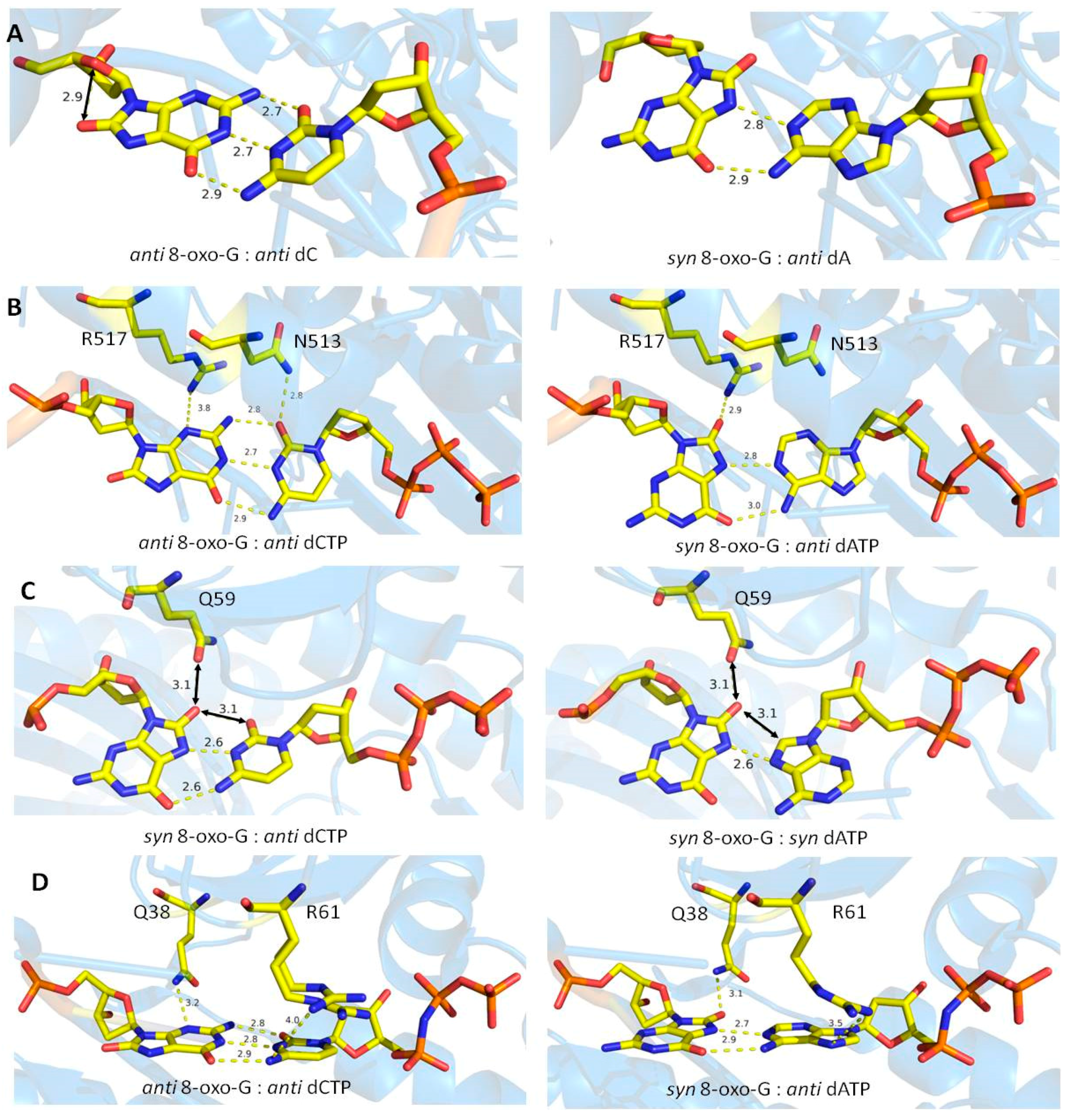 Crystals | Free Full-Text | Reading and Misreading 8-oxoguanine, a 