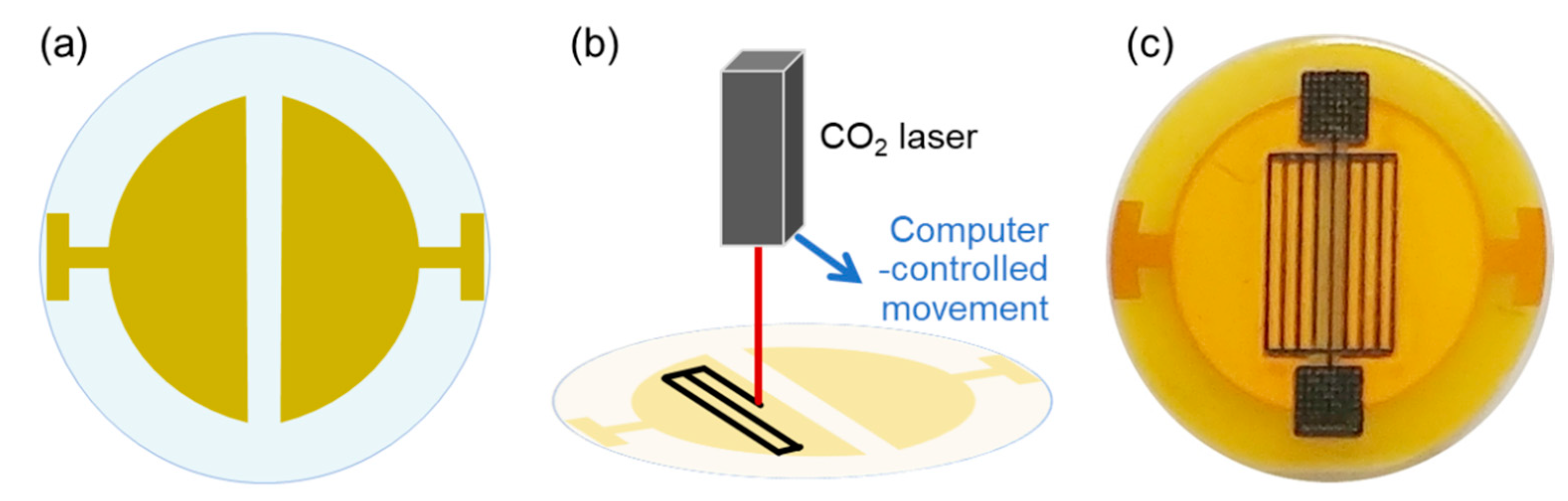 Physical and Chemical Sensors on the Basis of Laser-Induced Graphene:  Mechanisms, Applications, and Perspectives