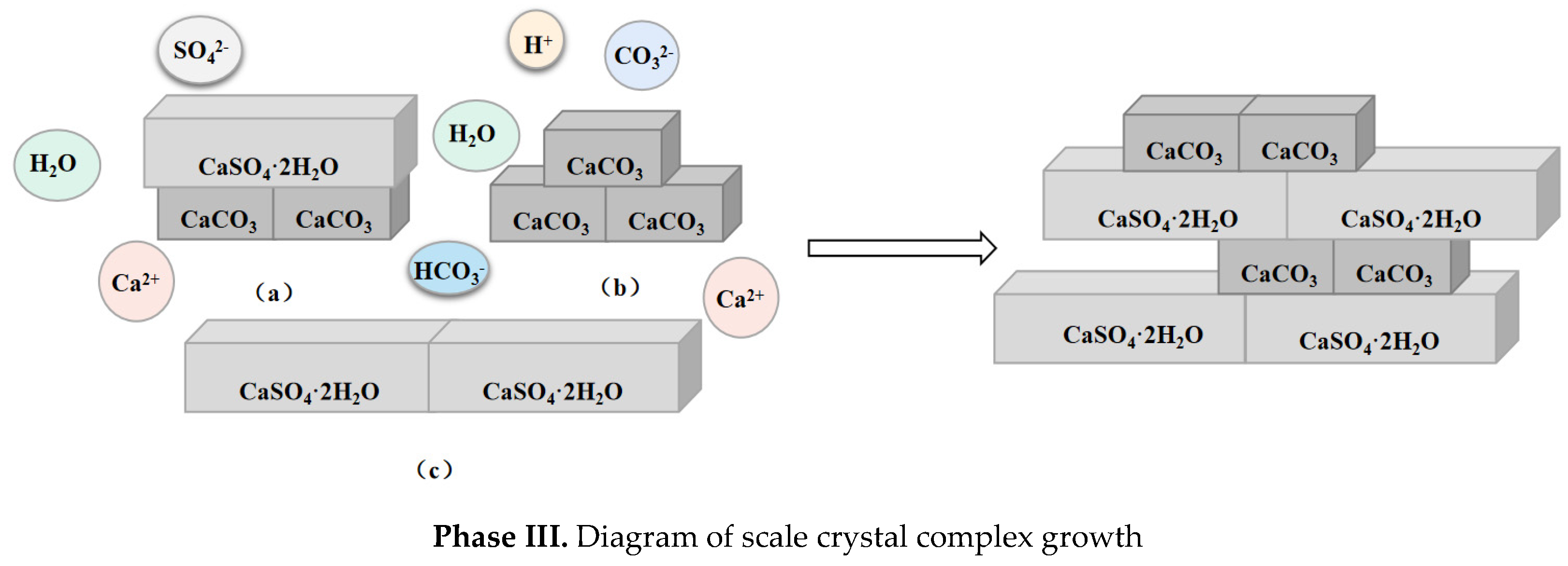Magnesium Impurities Decide the Structure of Calcium Carbonate Hemihydrate