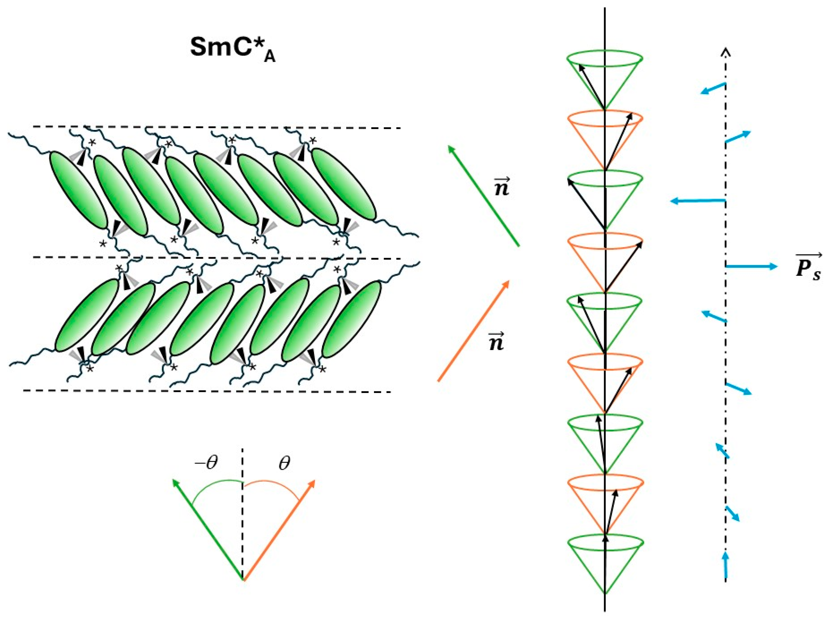 Supramolecular Arrangement And Conformational And Dynamic Properties Of Supramolecular Arrangement And Conformational And Dynamic Properties Of