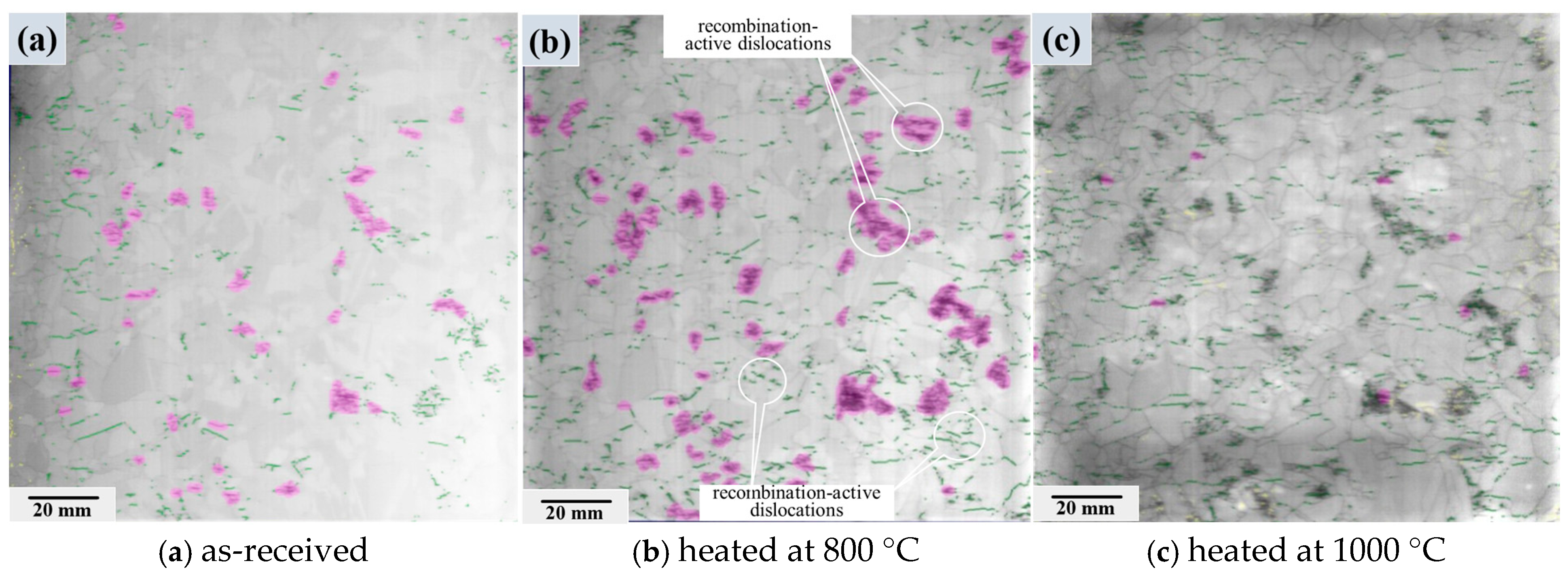 Effect of Heating Temperatures During Thermal Processes on the ...