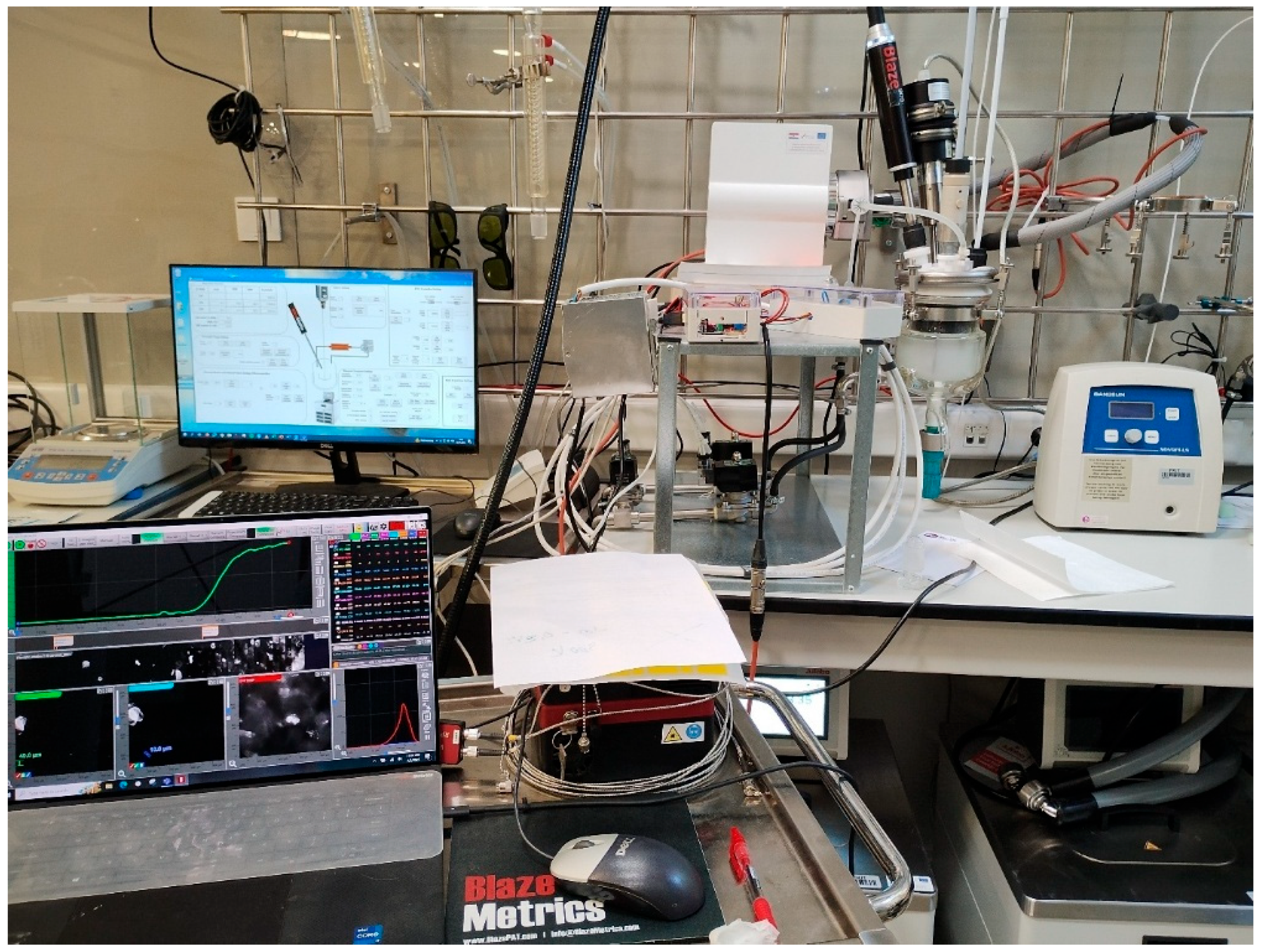 Direct Nucleation Control with External Heating Loop: Process System ...