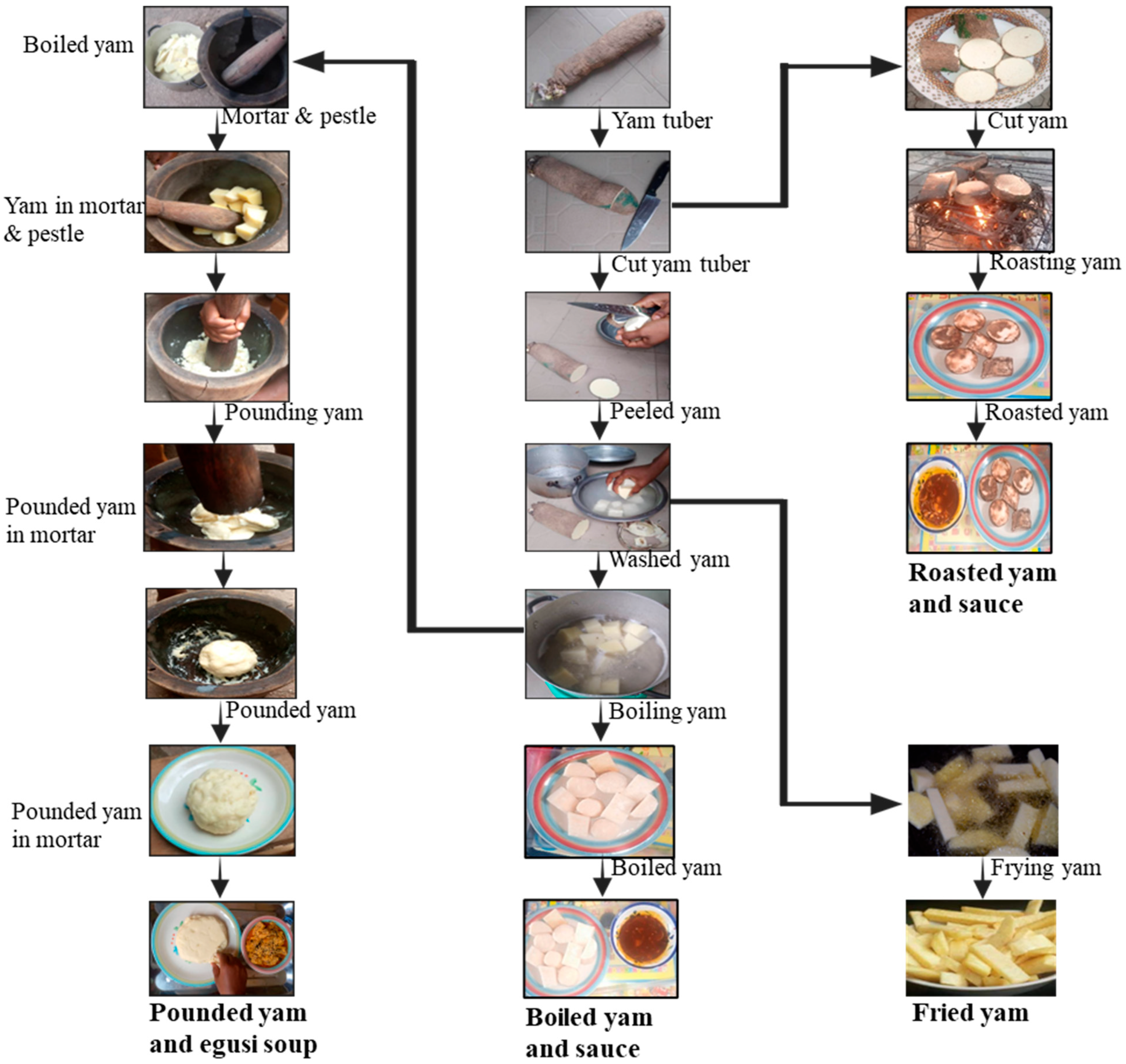 The Ecology of Yam Food Culture in the Yam Belt of West Africa