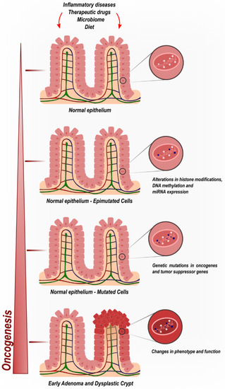 Current Oncology | Free Full-Text | Screening for Colorectal Cancer ...