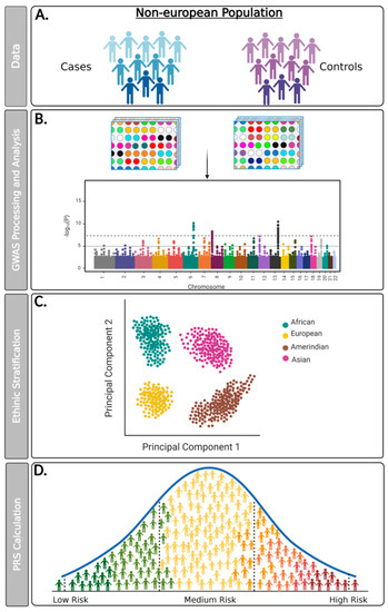 Role of Polygenic Risk Score in Cancer Precision Medicine of Non ...