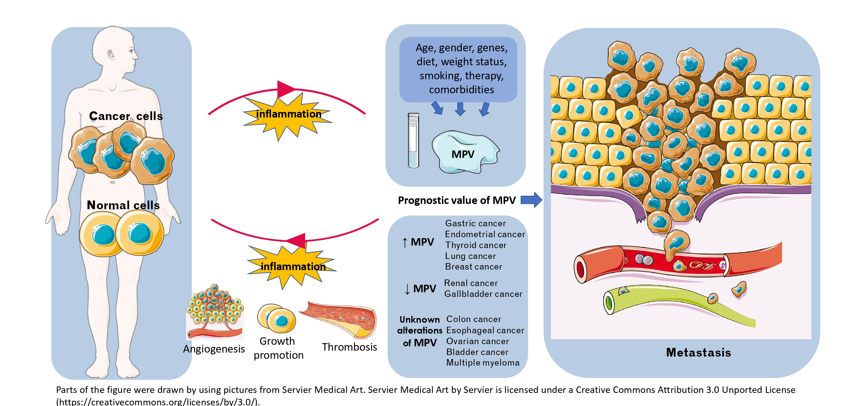 Current Oncology Free Full Text Relation Of Mean Platelet Volume 