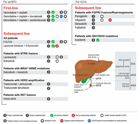 Current Oncology Free Full Text A Practical Guide For The Systemic