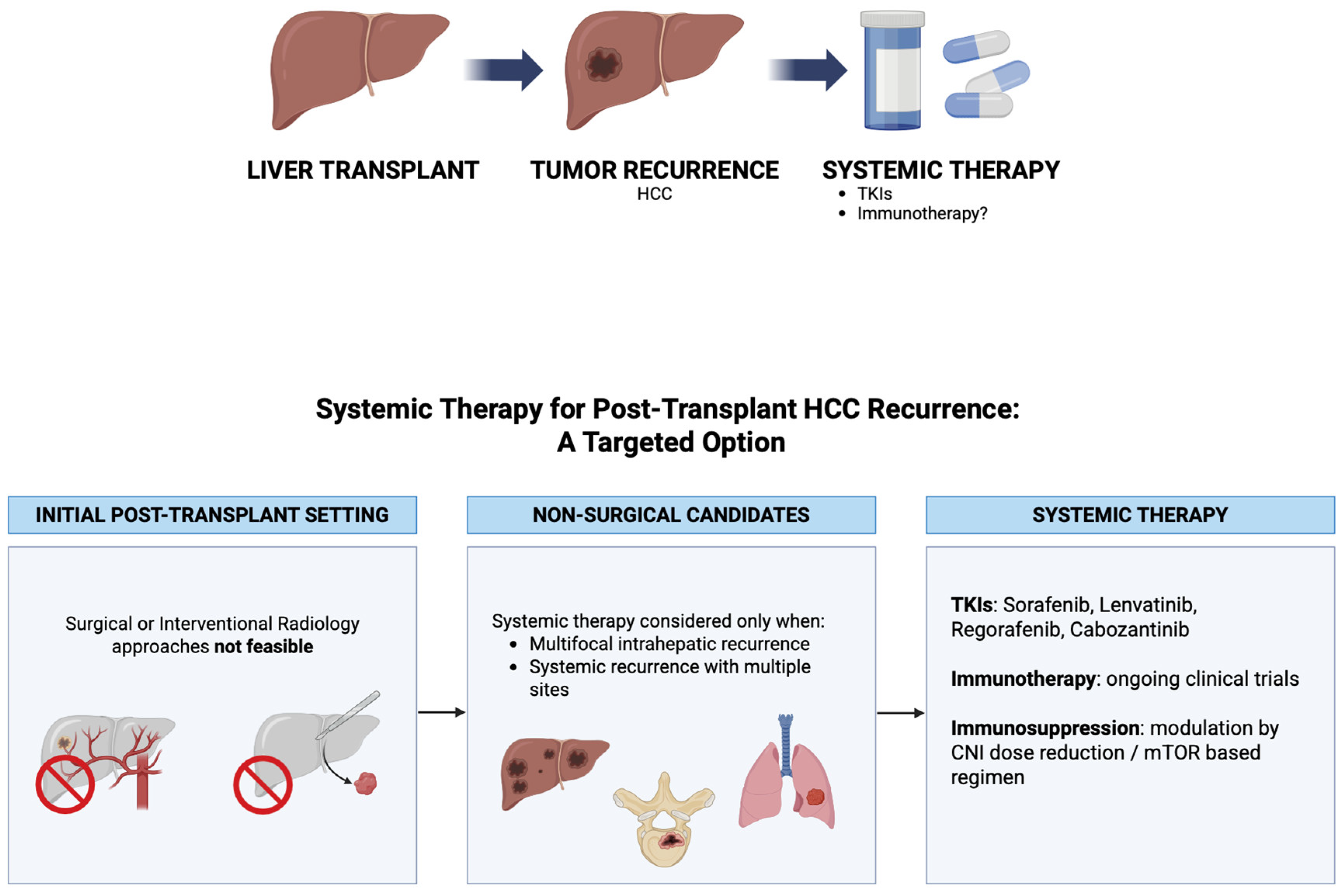 Systemic Treatment for Hepatocellular Carcinoma Recurrence After Liver ...