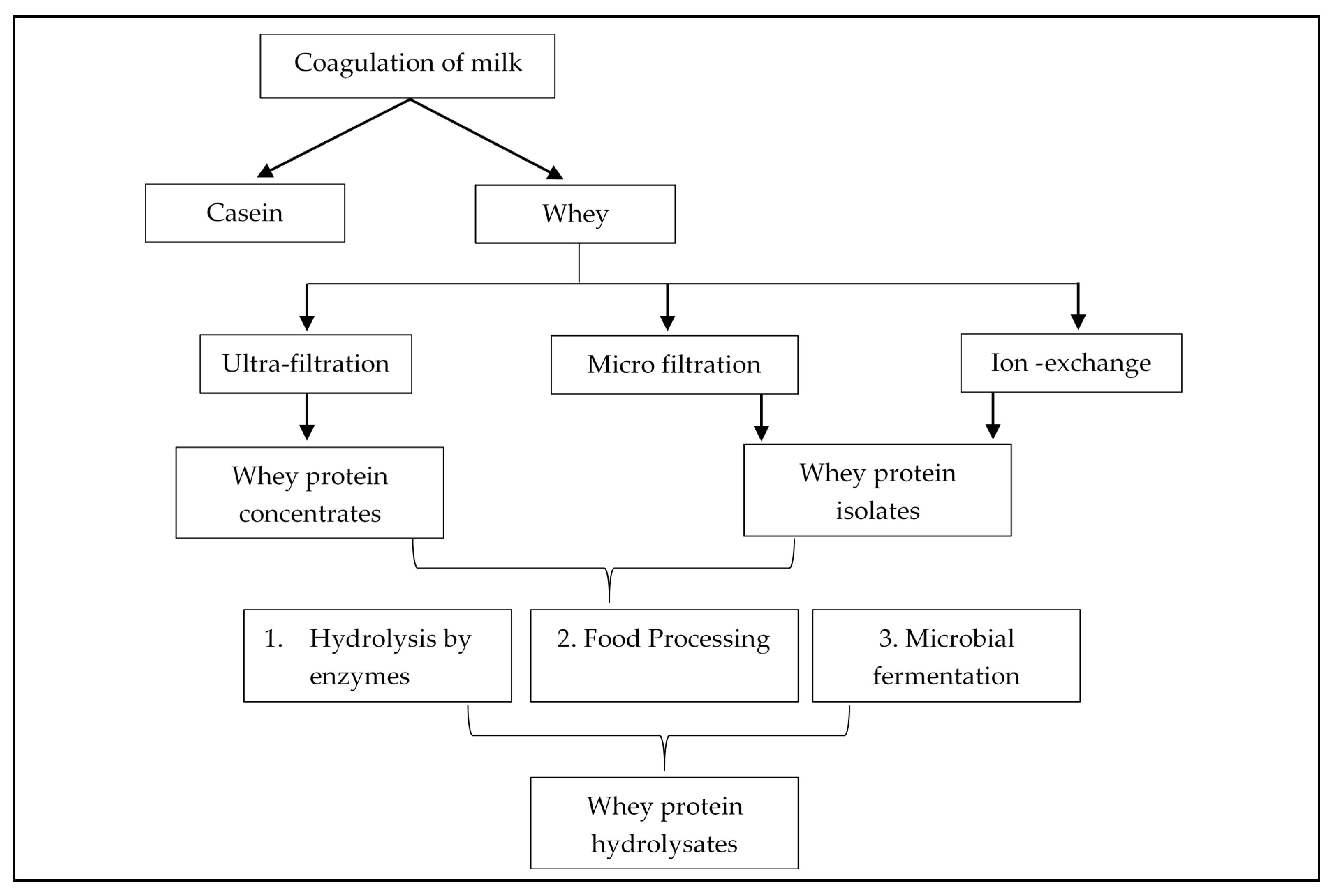 Dairy | Free Full-Text | Whey Proteins and Its Derivatives: Bioactivity ...