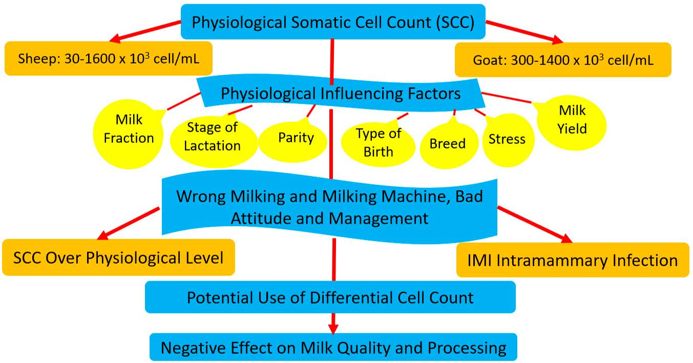Fresh Cow Somatic Cell Count Monitoring