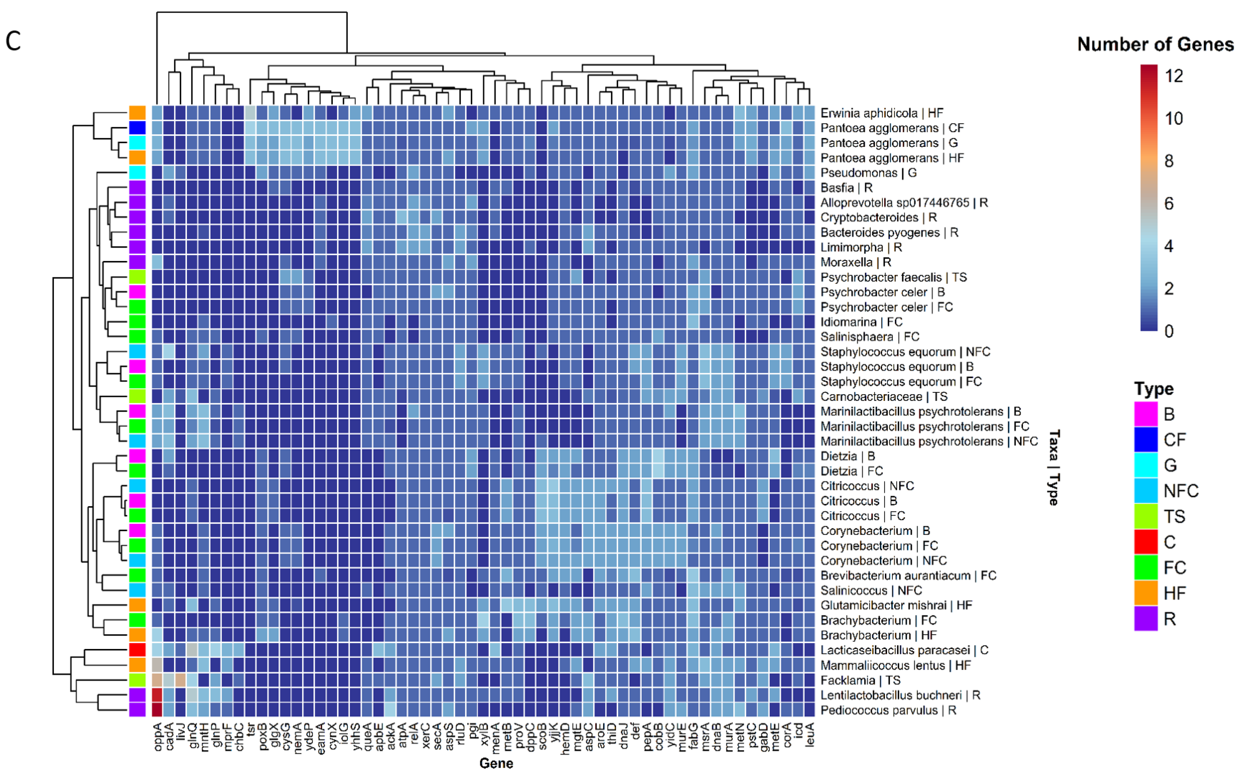Delving into Enzyme-Encoding Genes in Metagenome Assembled Genomes from ...