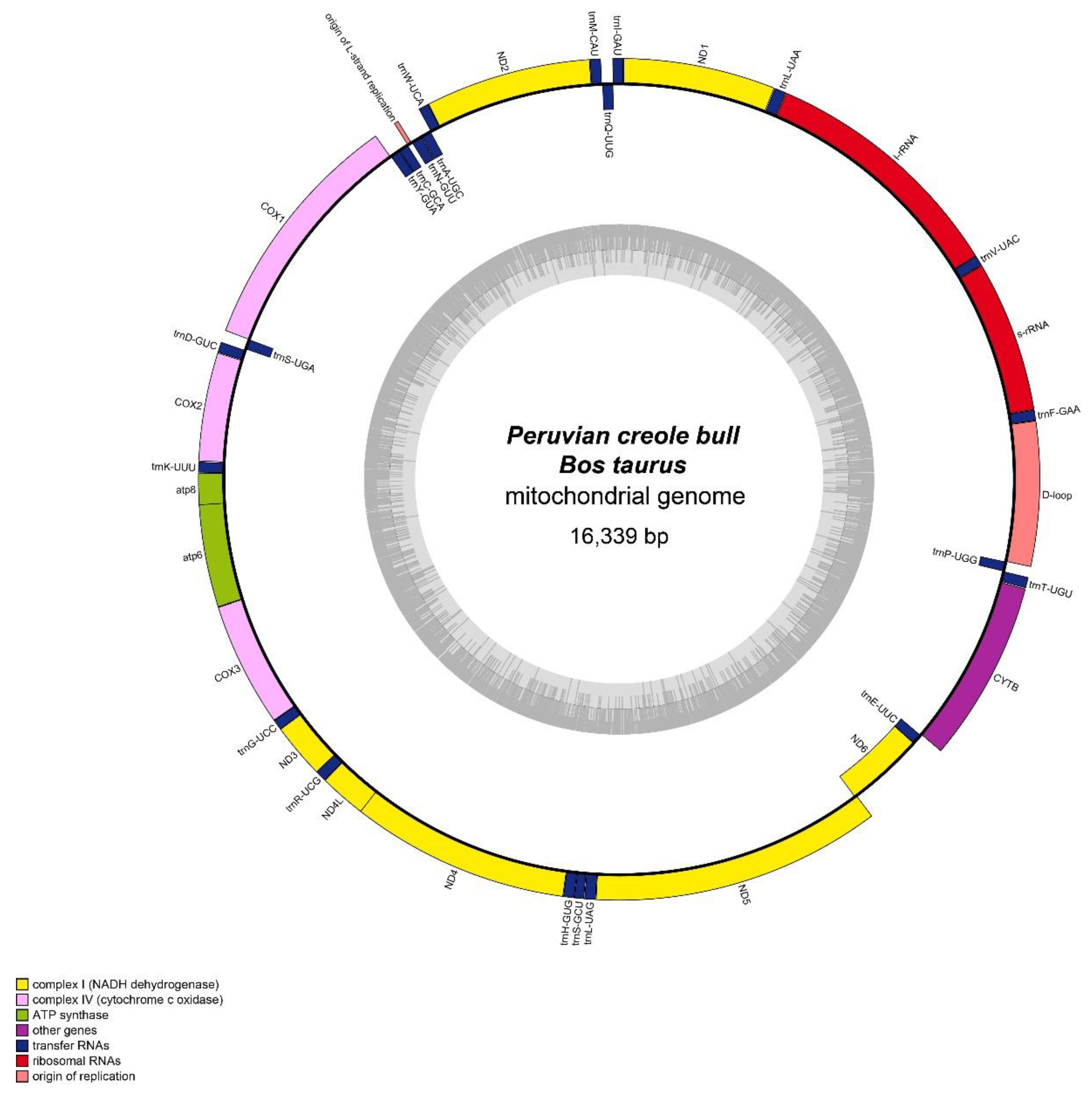 Regn faldskærm Hover Data | Free Full-Text | The Complete Mitochondrial Genome of a Neglected  Breed, the Peruvian Creole Cattle (Bos taurus), and Its Phylogenetic  Analysis