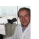Prof. Dr. David Barry Sattelle avatar image